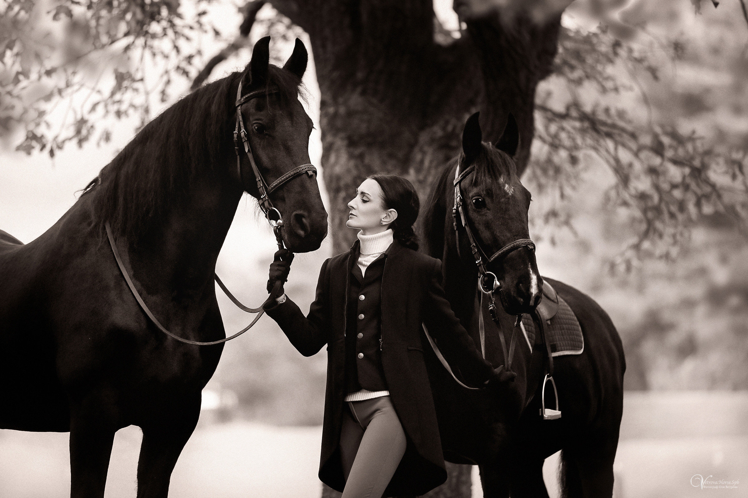 Осенняя фотосессия с лошадьми в СПб. Фотограф женский и мужской портрет Санкт-Петербург