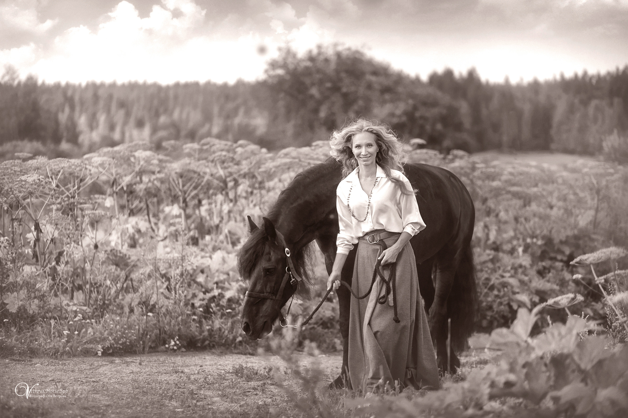 Фризский конь в поле СПб. Фотограф женский и мужской портрет Санкт-Петербург