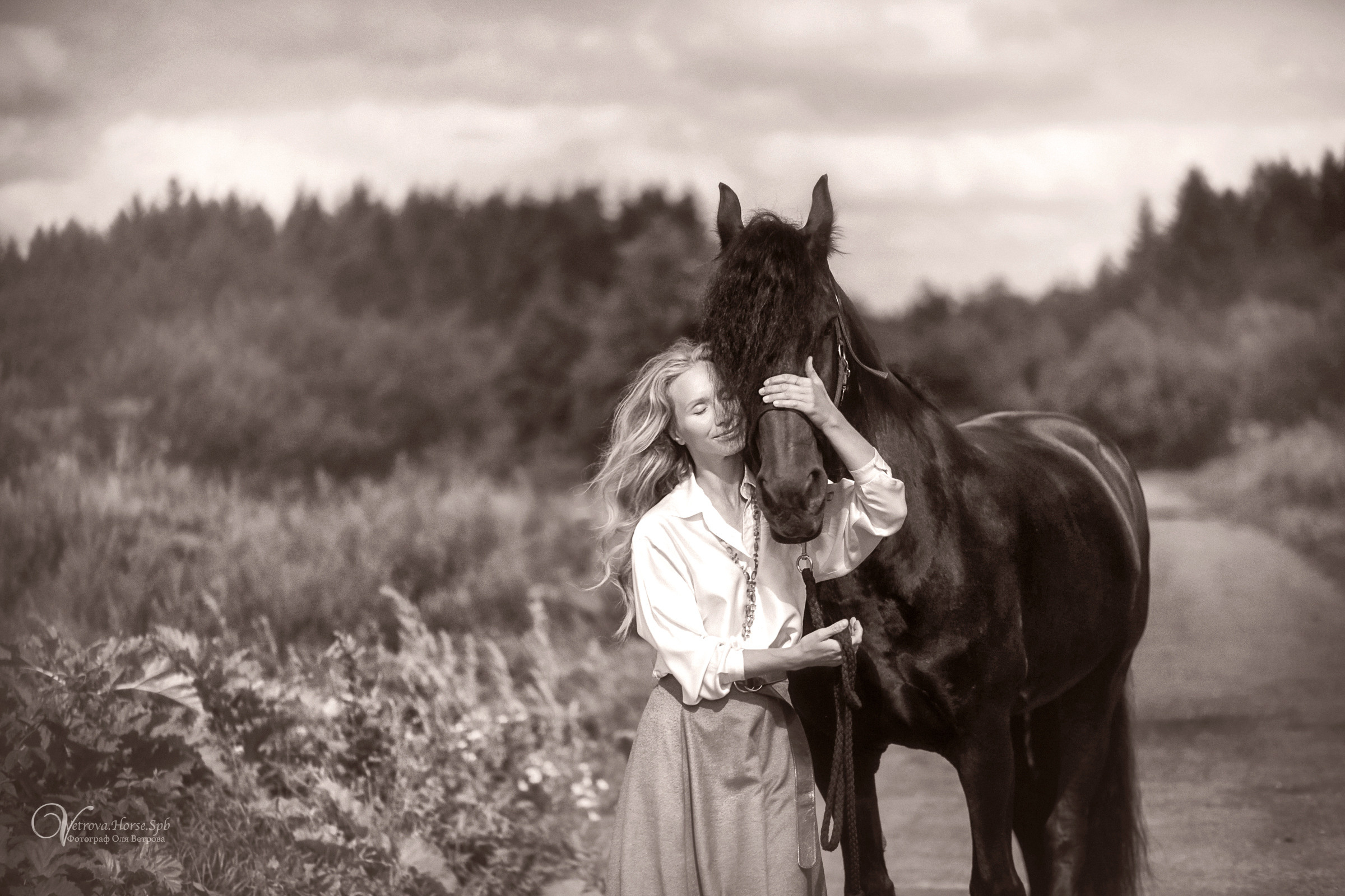 Фризский конь в поле СПб. Фотограф женский и мужской портрет Санкт-Петербург