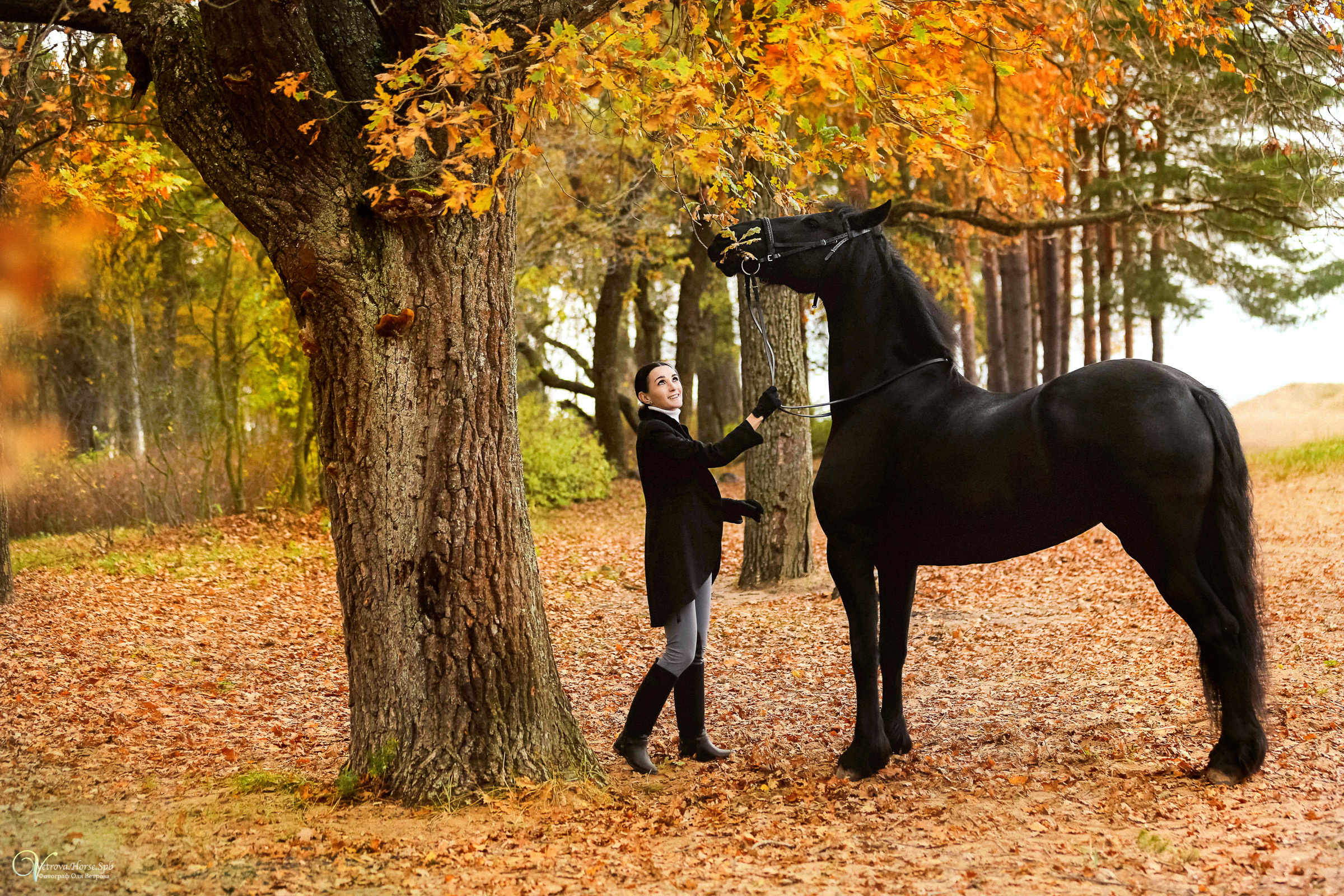 Осенняя фотосессия с лошадьми в СПб. Фотограф женский и мужской портрет Санкт-Петербург