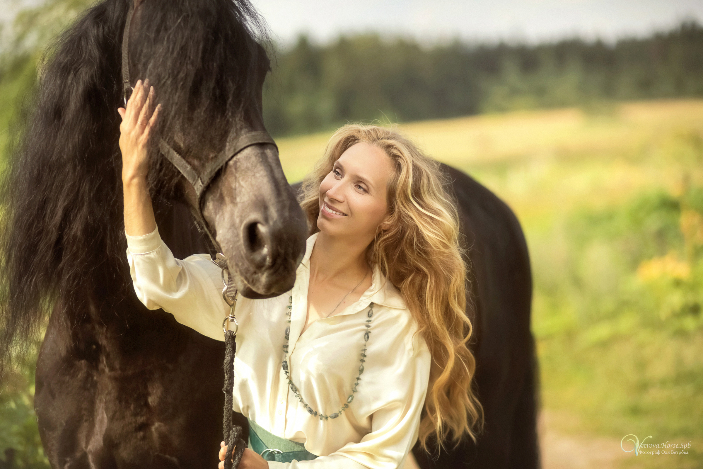 Фризский конь в поле СПб. Фотограф женский и мужской портрет Санкт-Петербург