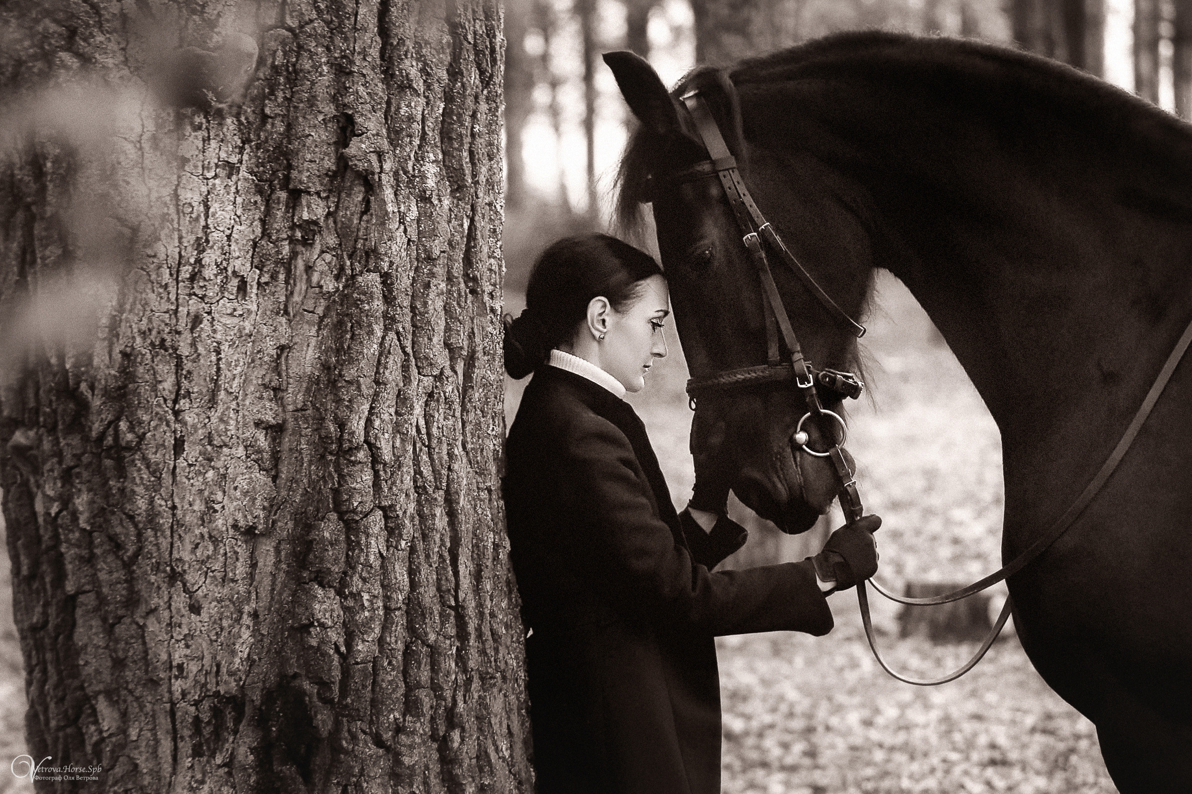 Осенняя фотосессия с лошадьми в СПб. Фотограф женский и мужской портрет Санкт-Петербург