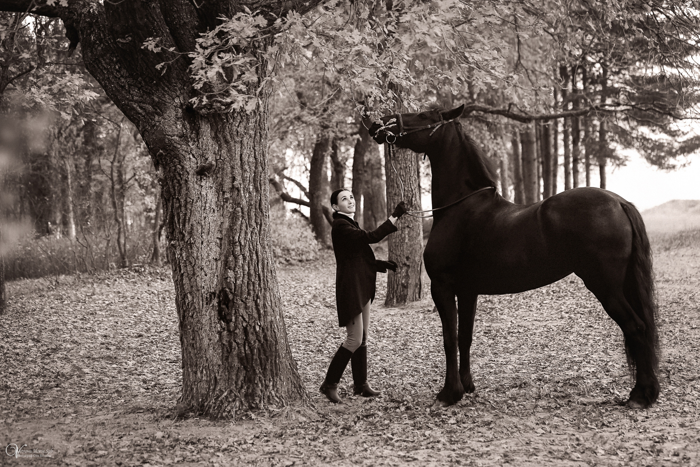 Осенняя фотосессия с лошадьми в СПб. Фотограф женский и мужской портрет Санкт-Петербург