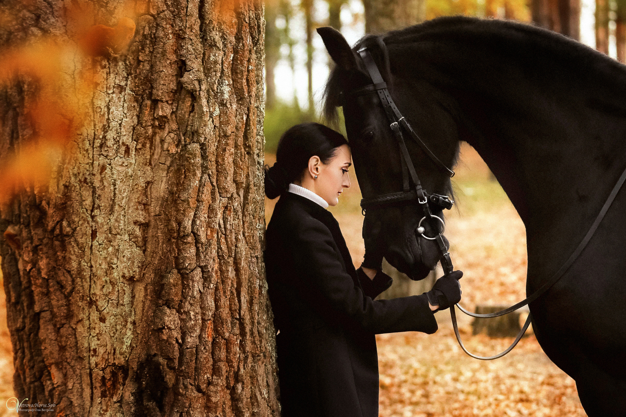 Осенняя фотосессия с лошадьми в СПб. Фотограф женский и мужской портрет Санкт-Петербург