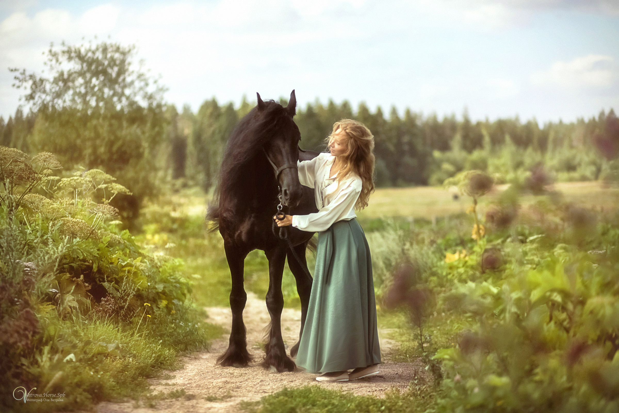 Фризский конь в поле СПб. Фотограф женский и мужской портрет Санкт-Петербург