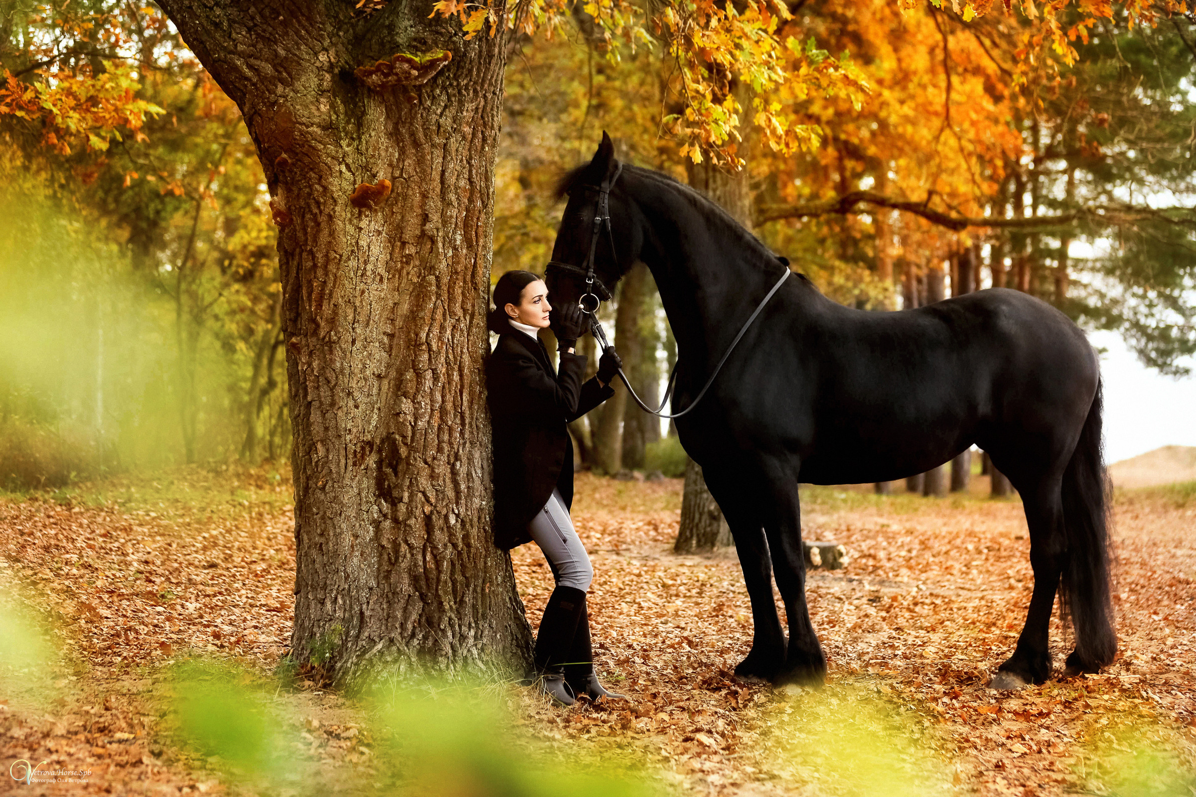 Осенняя фотосессия с лошадьми в СПб. Фотограф женский и мужской портрет Санкт-Петербург
