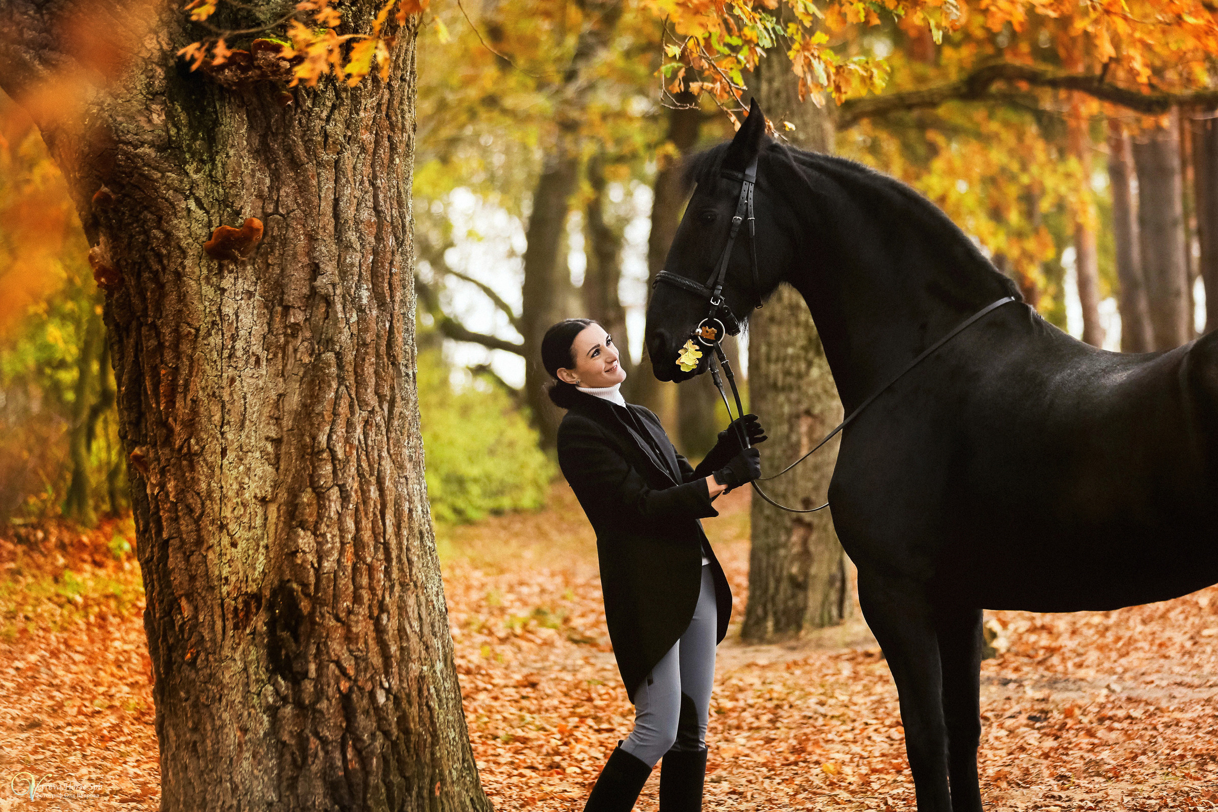 Осенняя фотосессия с лошадьми в СПб. Фотограф женский и мужской портрет Санкт-Петербург