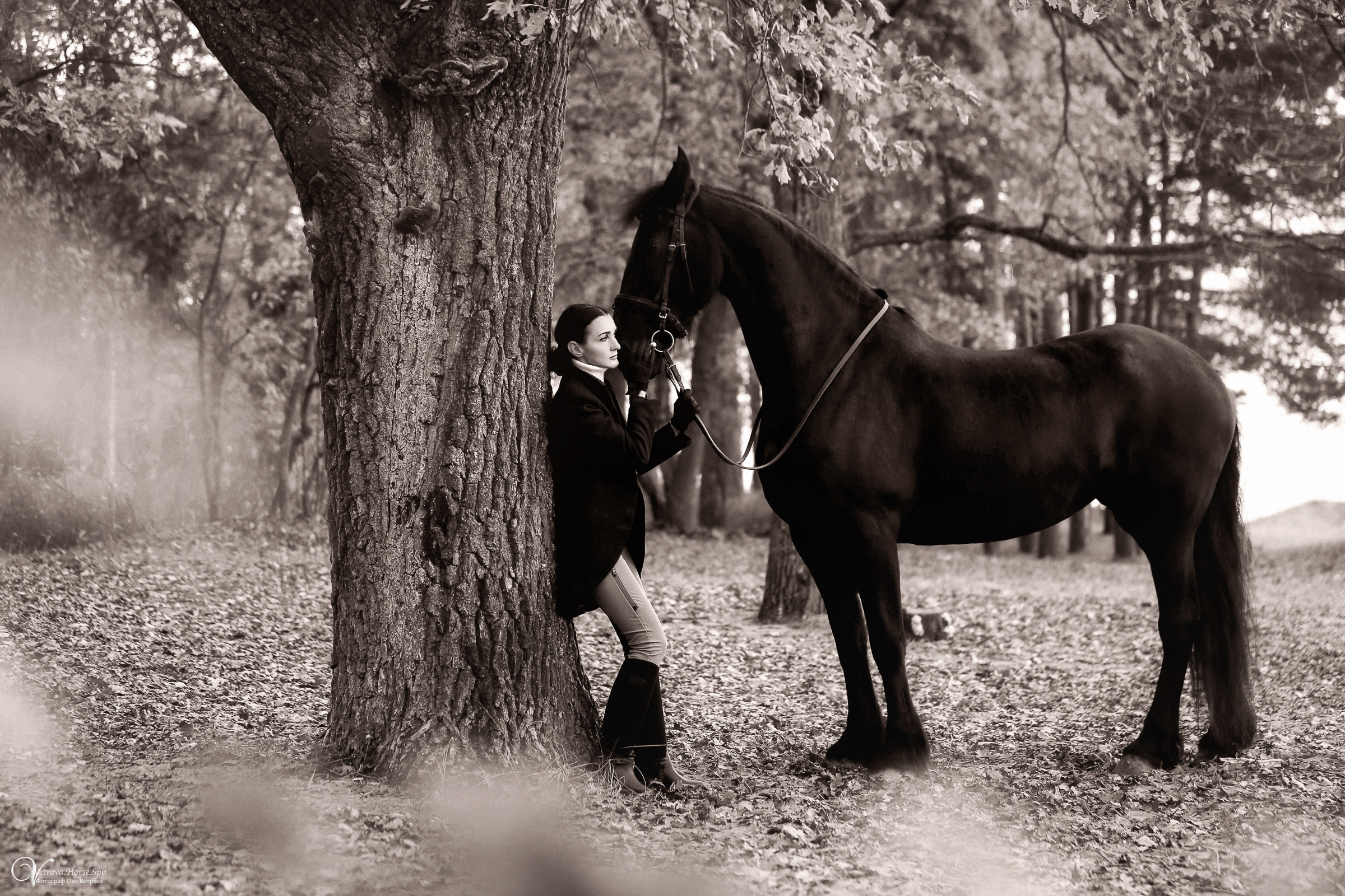 Осенняя фотосессия с лошадьми в СПб. Фотограф женский и мужской портрет Санкт-Петербург