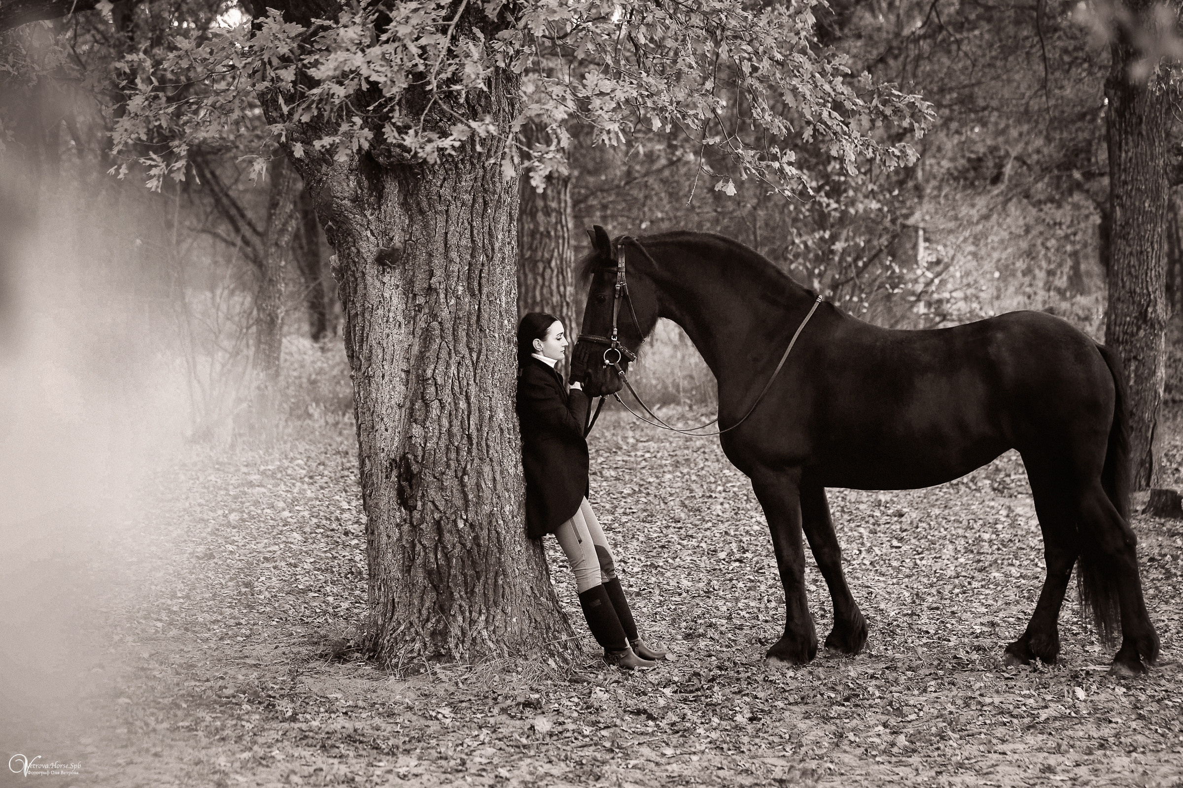 Осенняя фотосессия с лошадьми в СПб. Фотограф женский и мужской портрет Санкт-Петербург