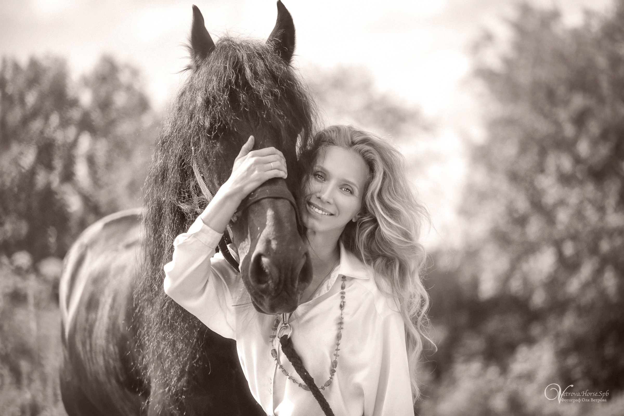 Фризский конь в поле СПб. Фотограф женский и мужской портрет Санкт-Петербург