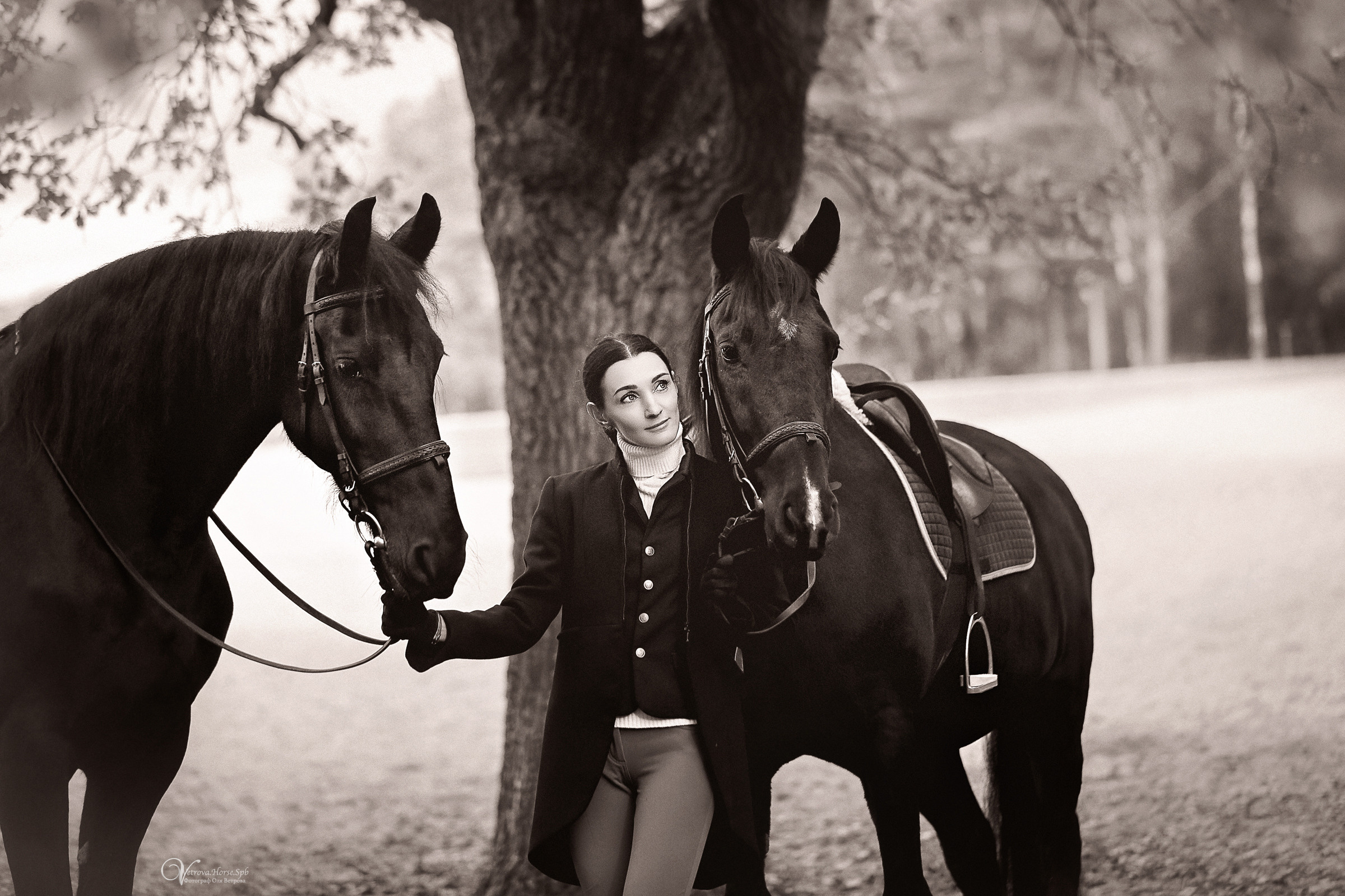 Осенняя фотосессия с лошадьми в СПб. Фотограф женский и мужской портрет Санкт-Петербург