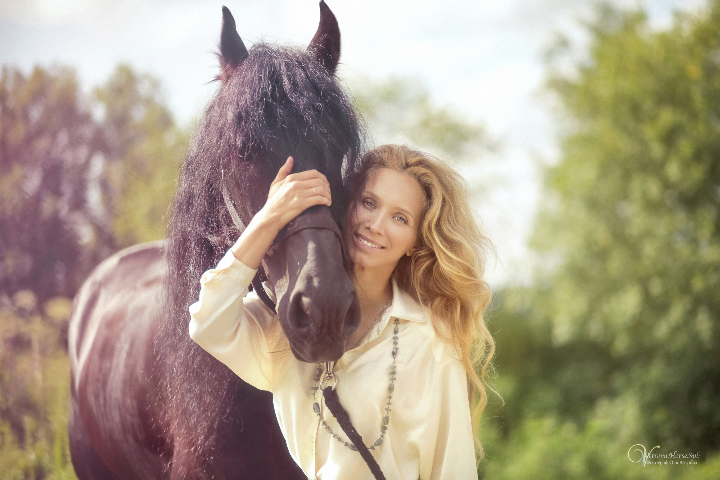Фризский конь в поле СПб. Фотограф женский и мужской портрет Санкт-Петербург