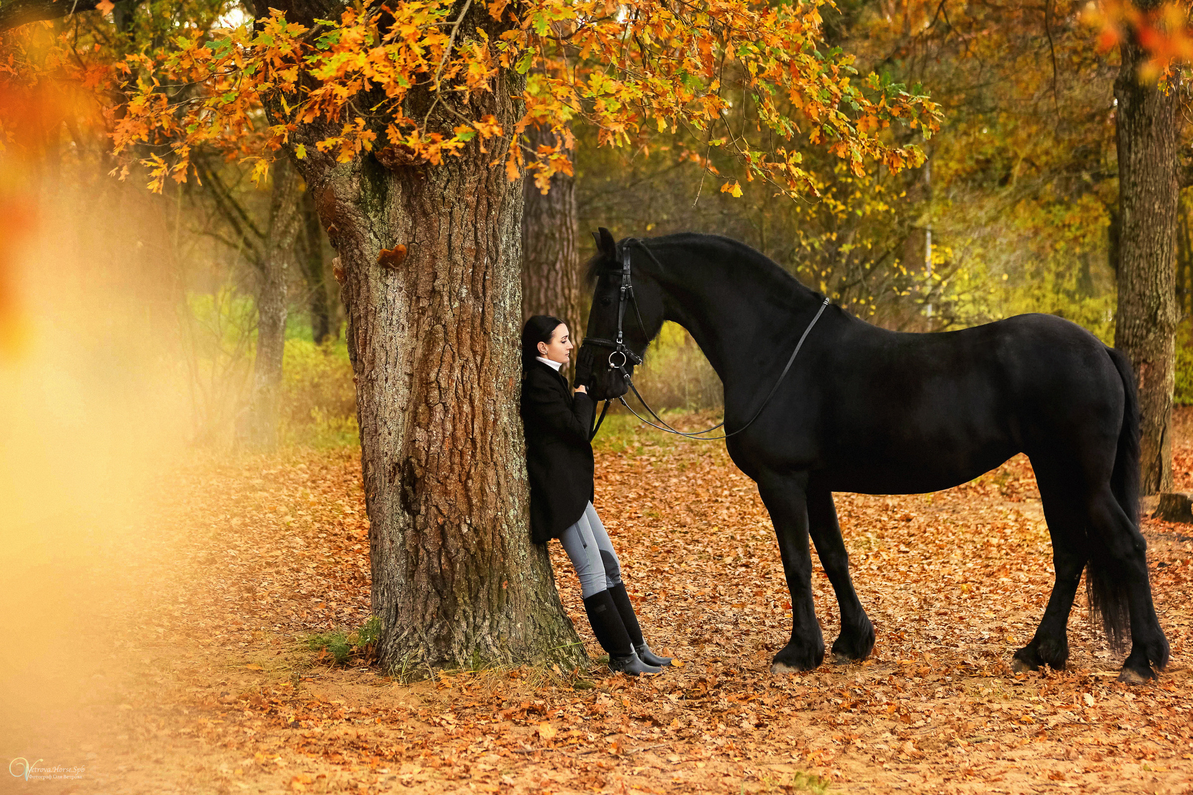 Осенняя фотосессия с лошадьми в СПб. Фотограф женский и мужской портрет Санкт-Петербург