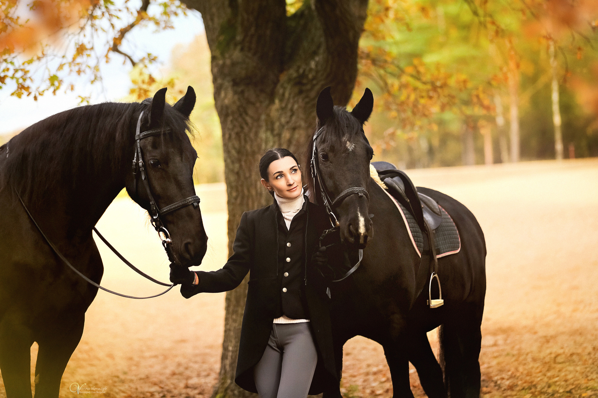 Осенняя фотосессия с лошадьми в СПб. Фотограф женский и мужской портрет Санкт-Петербург