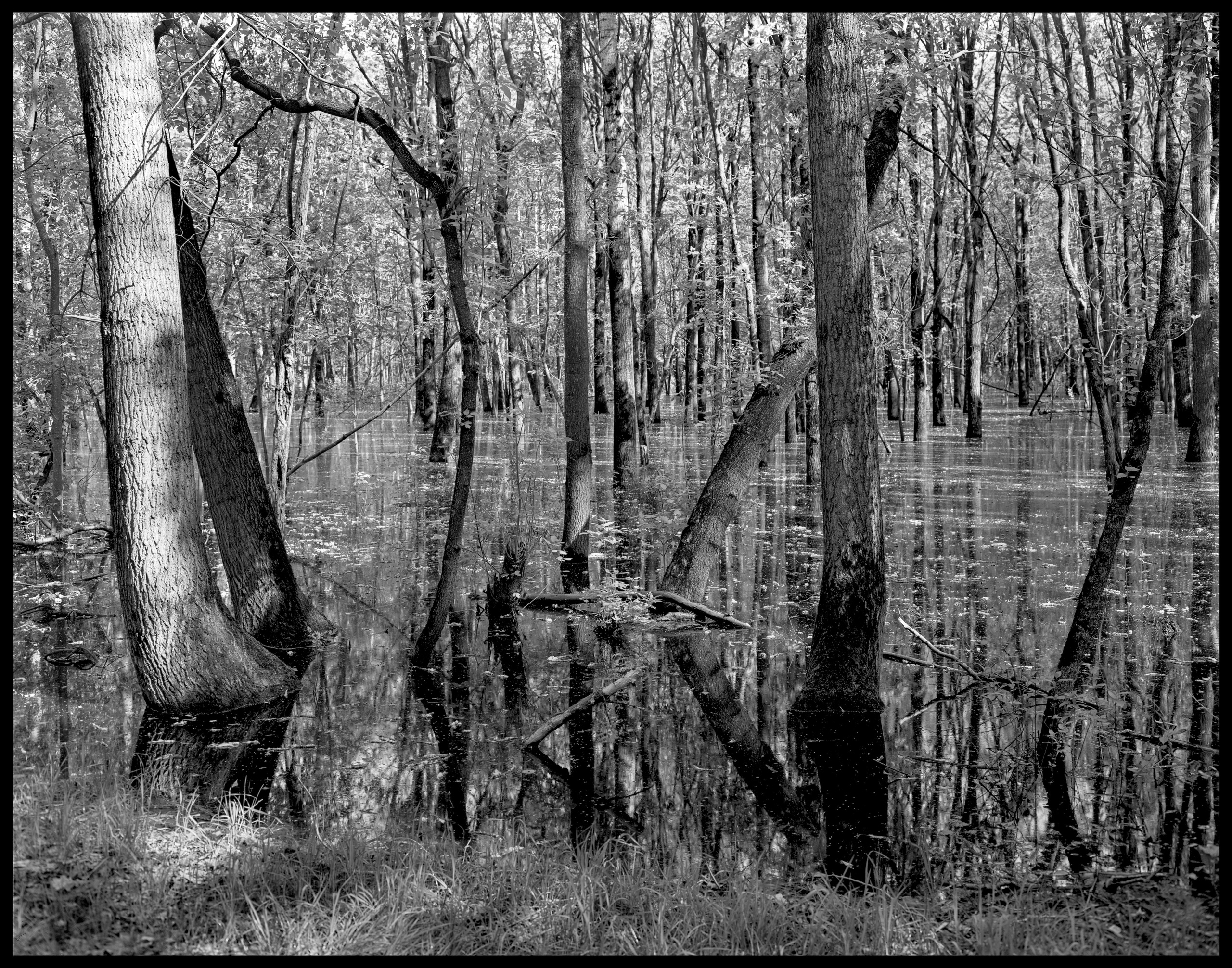 Landscape. Sergey Kondriuk art-photographer | artist