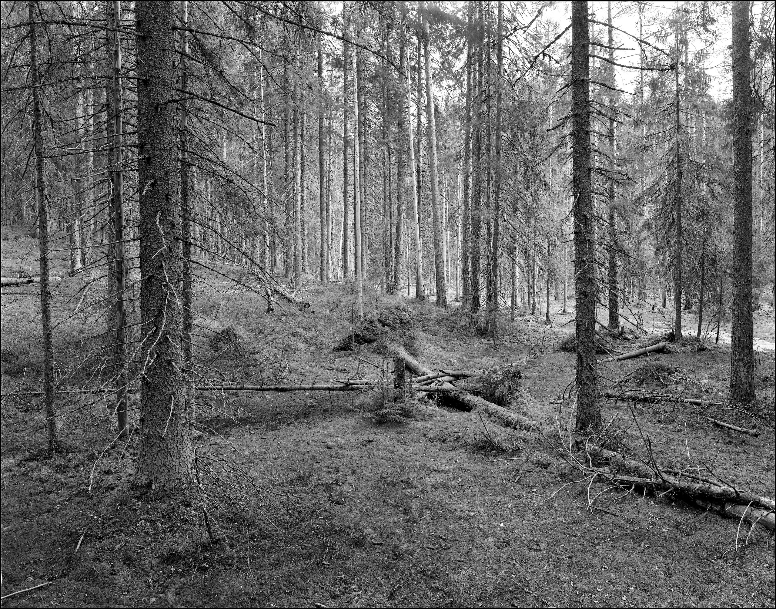 Карелия. Sergey Kondriuk art-photographer | artist