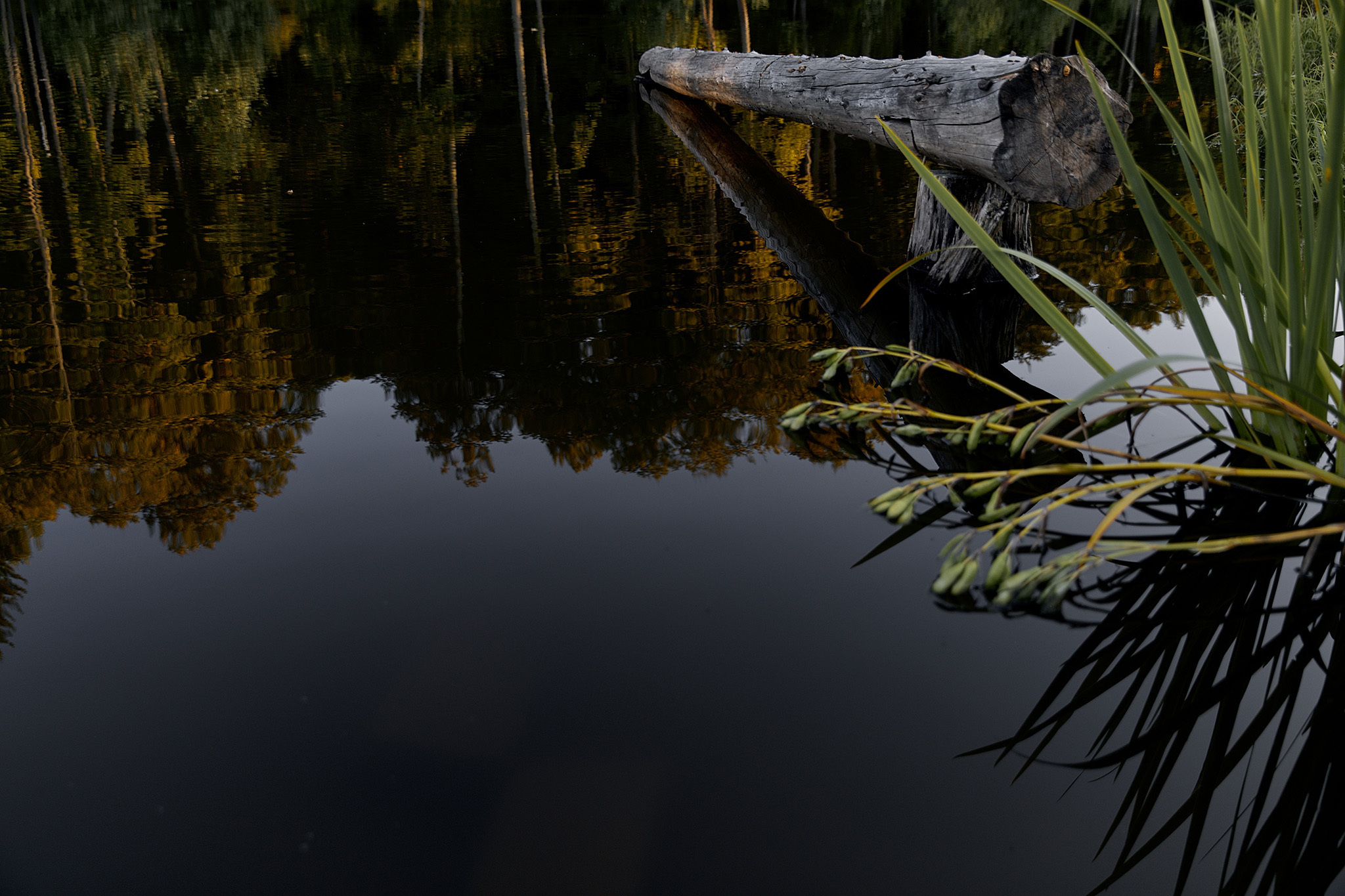 Там где нет связи, люди вынуждены общаться)). Фотограф Игорь Цаплин