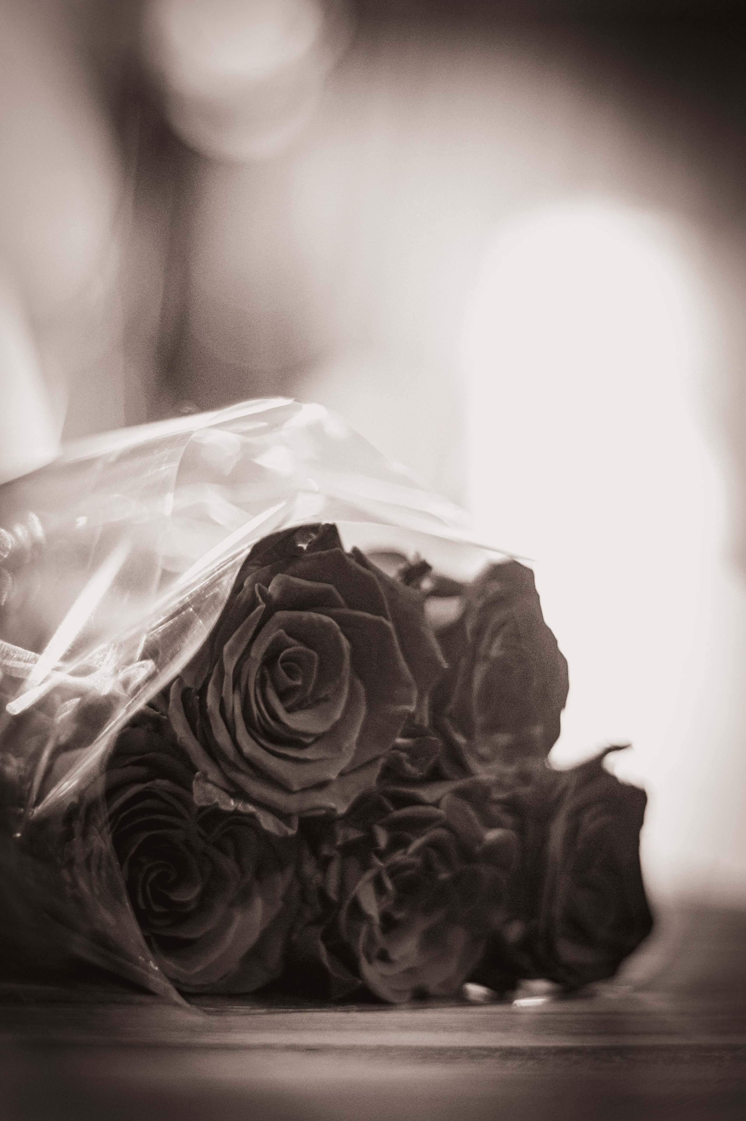 Ретро вечеринка. Фотограф Роман Адлер