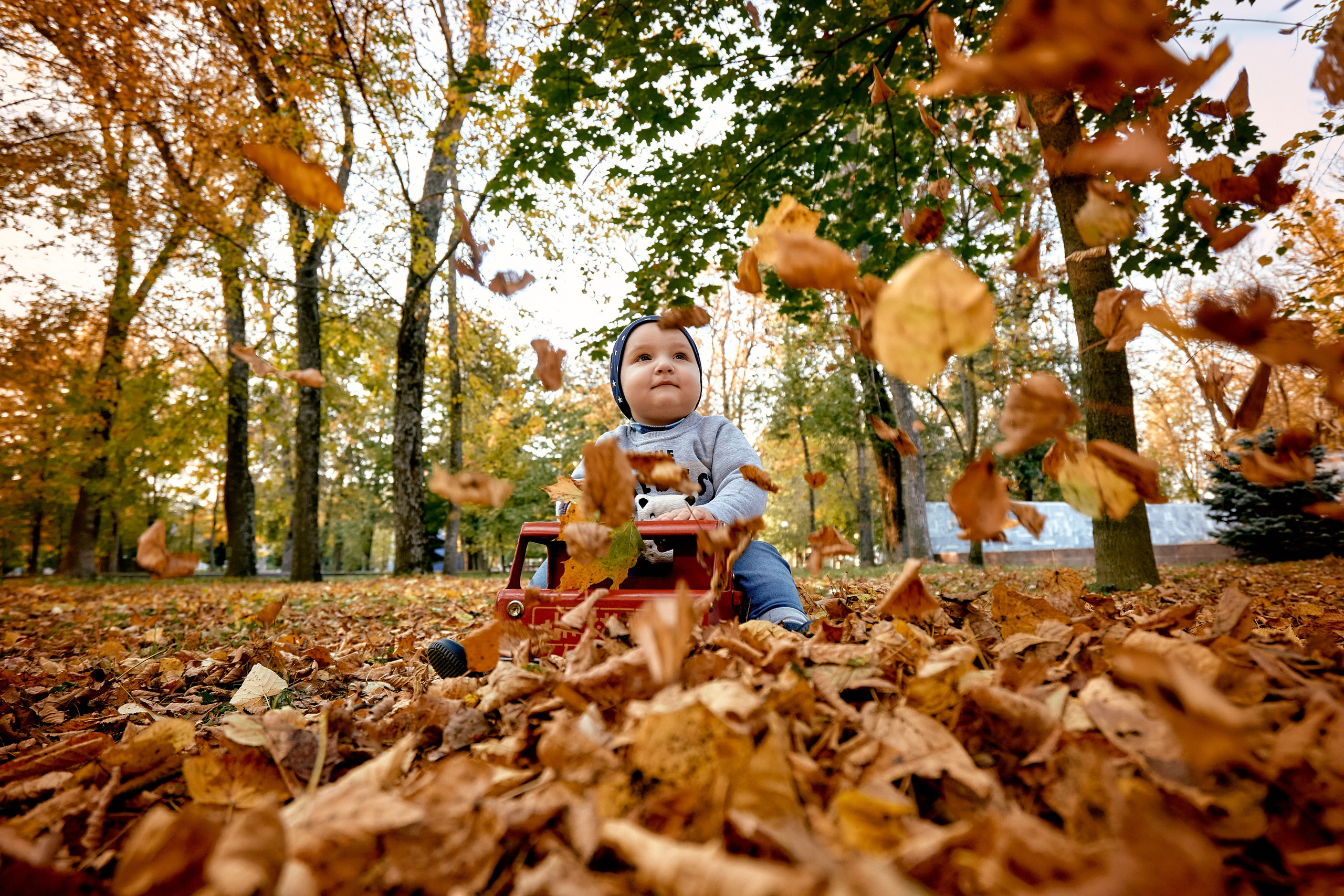 Осенняя фотосессия 2024. Петр Ступень. Свадебное, семейное фото и видео. Москва. Краснодар