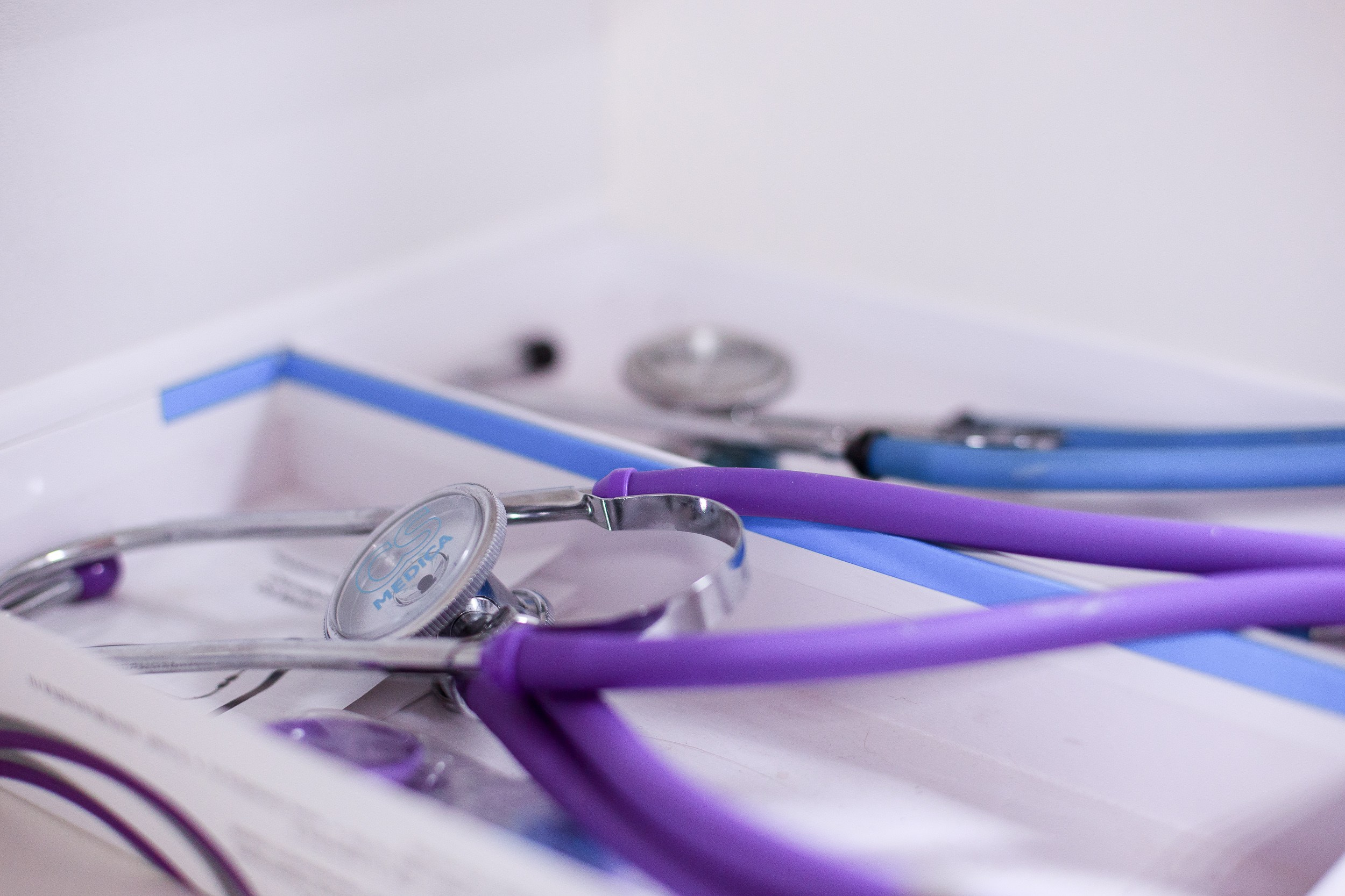 Ветеринарная клиника. Алена Русских — фотограф и графический дизайнер в Ростове-на-дону