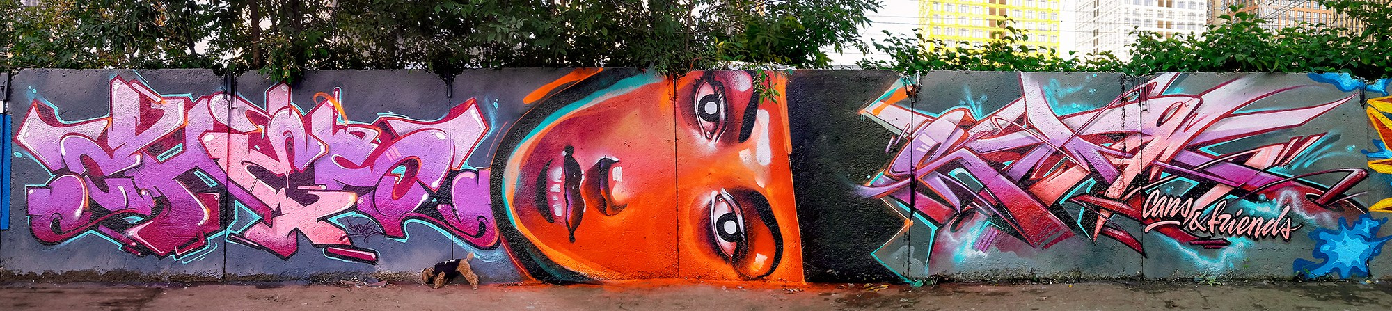 Graffiti. Alexander Stan Shimanov