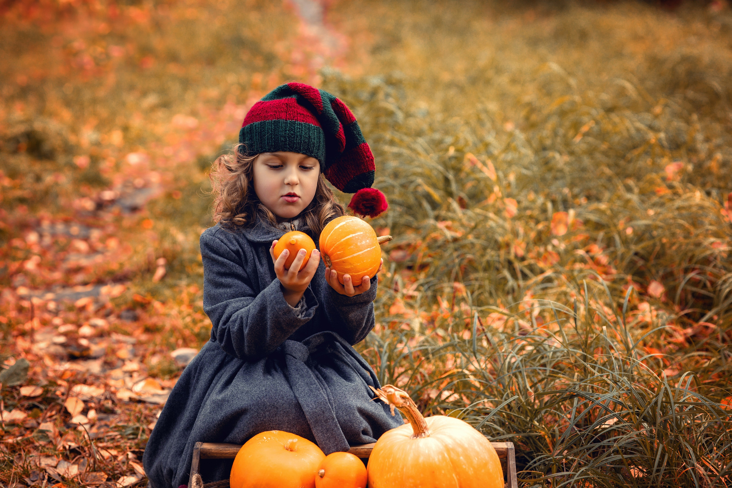 Гном. Фотограф в Петрозаводске BellaDonna