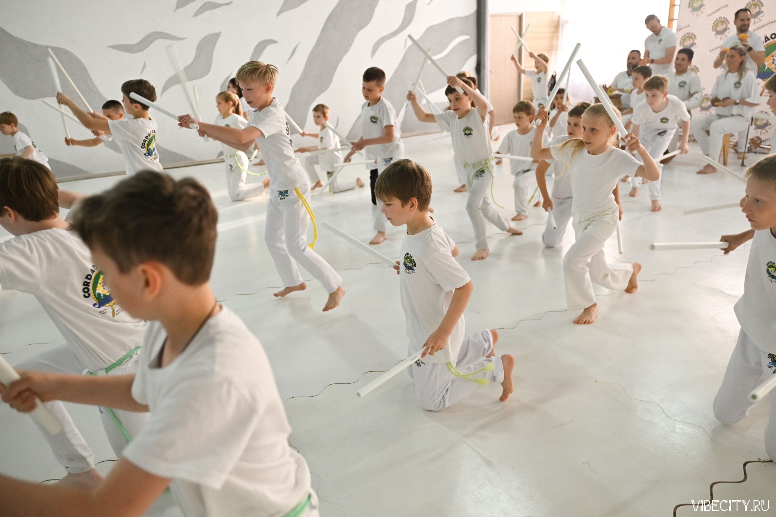 Capoeira: 4-е batizado e Troca de cordao. VIBECITY.RU Вайб Сити Ру Фоторепортажи Фотоотчеты Калининград