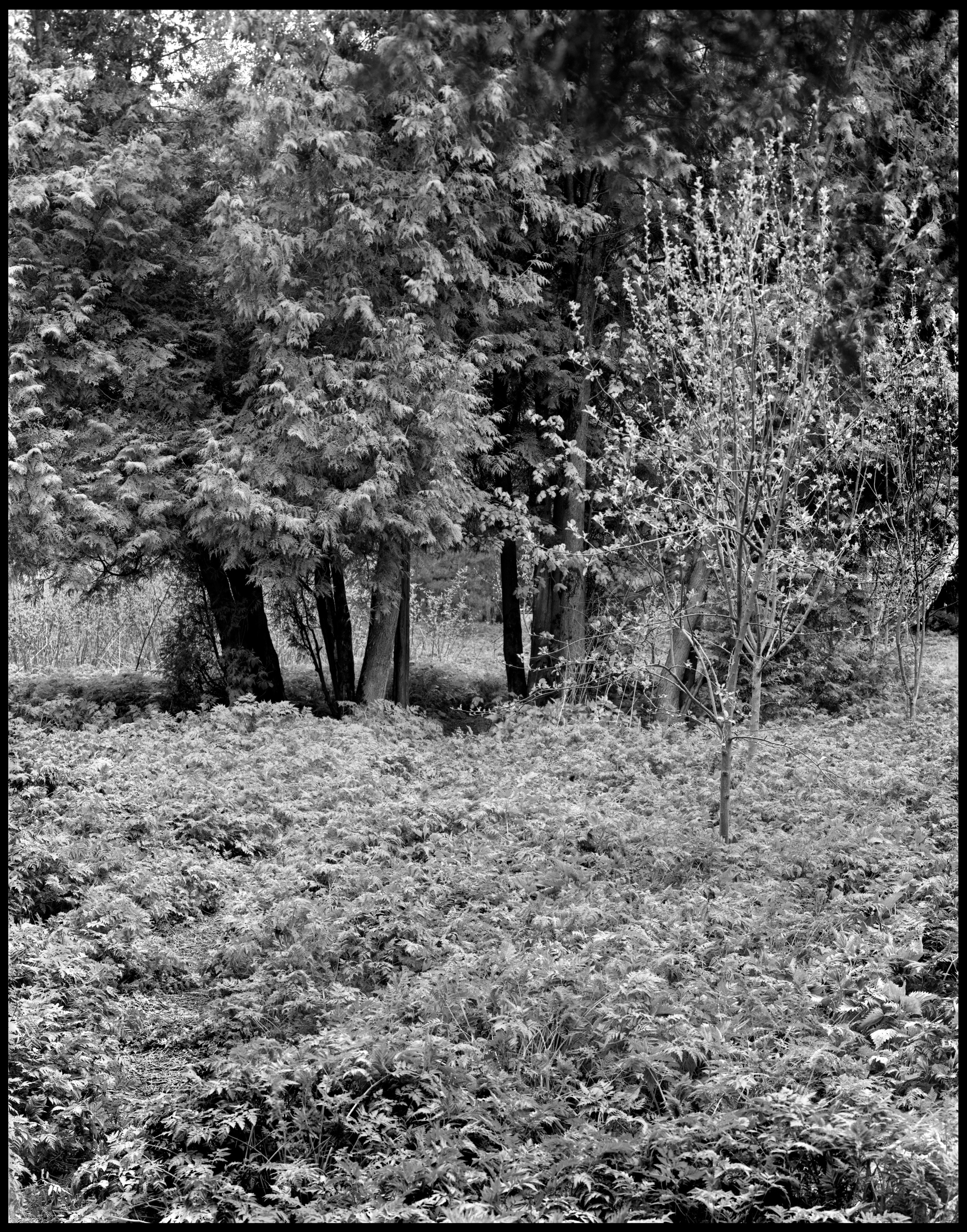 Landscape. Sergey Kondriuk art-photographer | artist