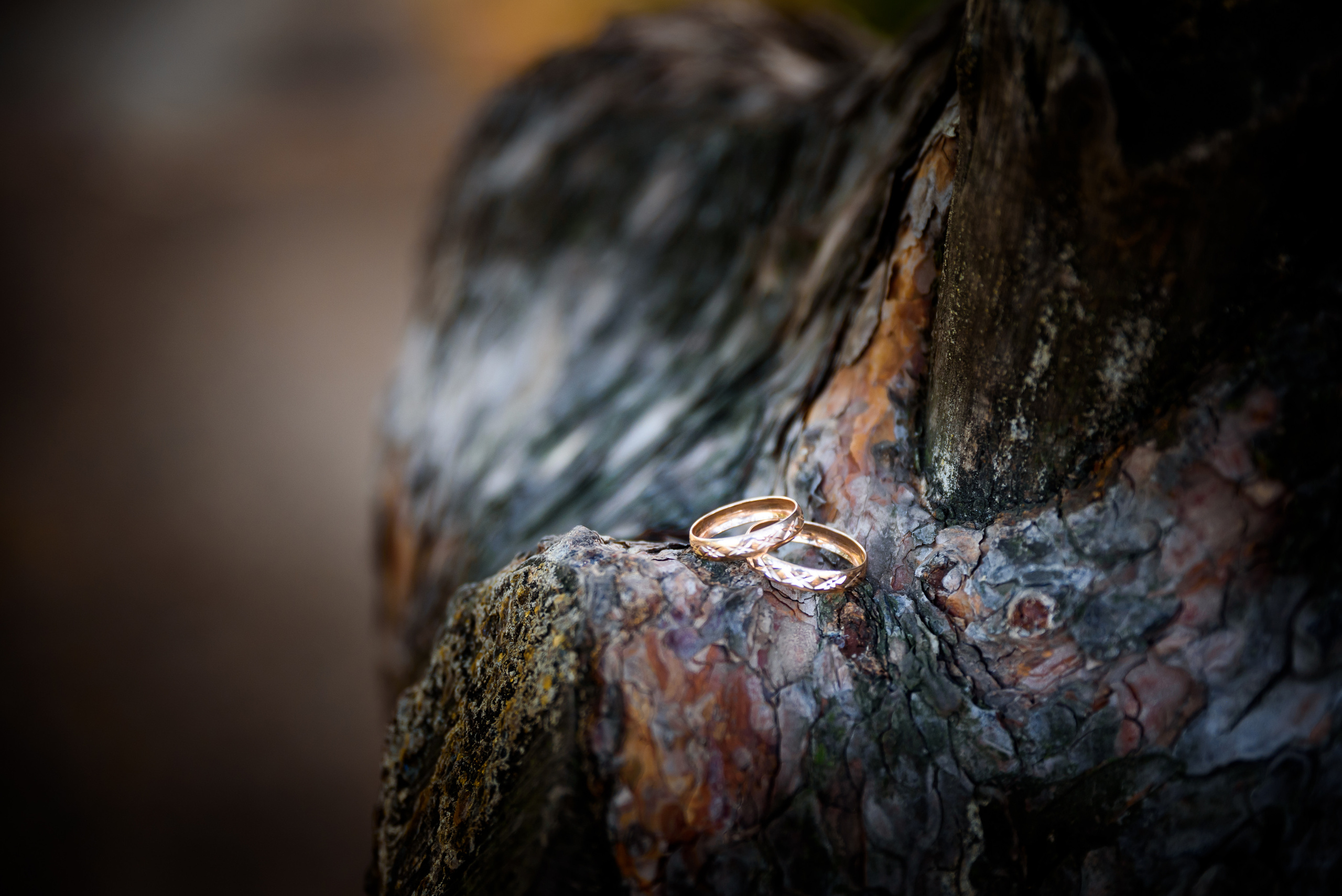 Свадебный фотограф и видеограф Жанна и Ренат Костандян, Ставрополь