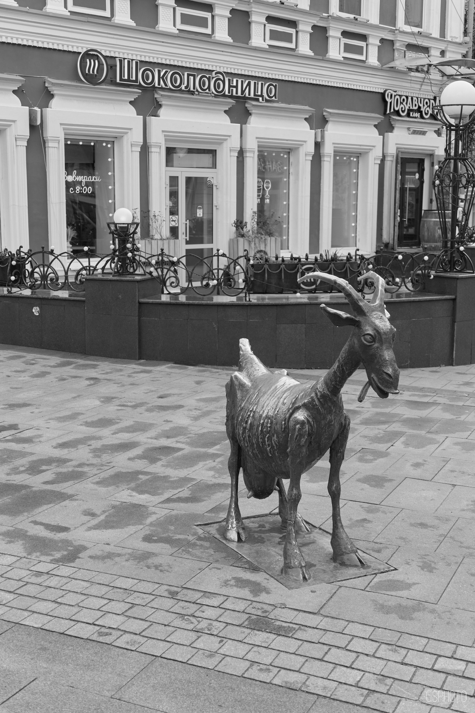 Нижний Новгород. Фотографъ Сергѣевъ. Поймать мгновеніе