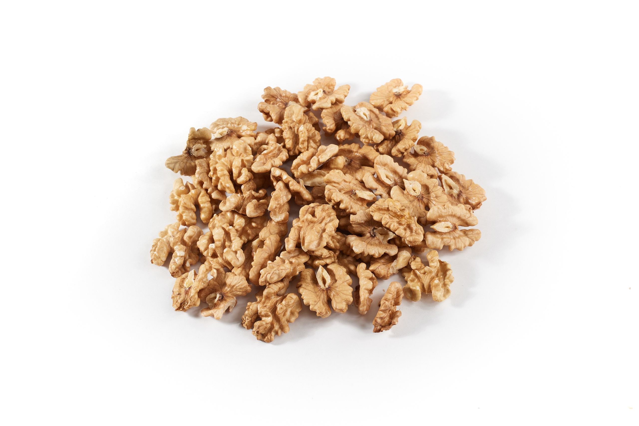 Nut4Life. Фотограф Сергей Бойко Москва