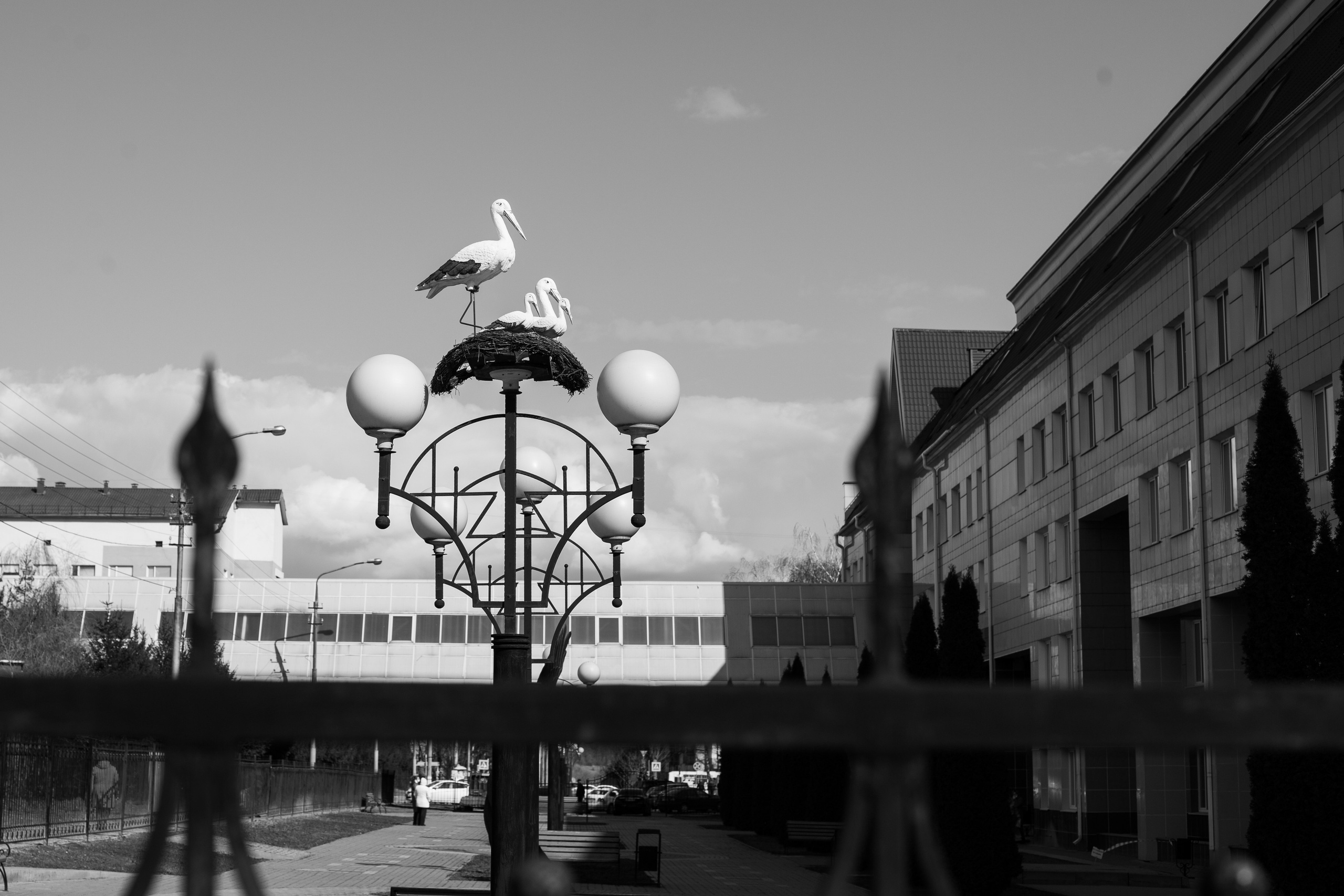 Фотограф на выписку из роддома в Белгороде. Свадебный и контент фотограф в Белгороде Ярослав Гаврилейченко