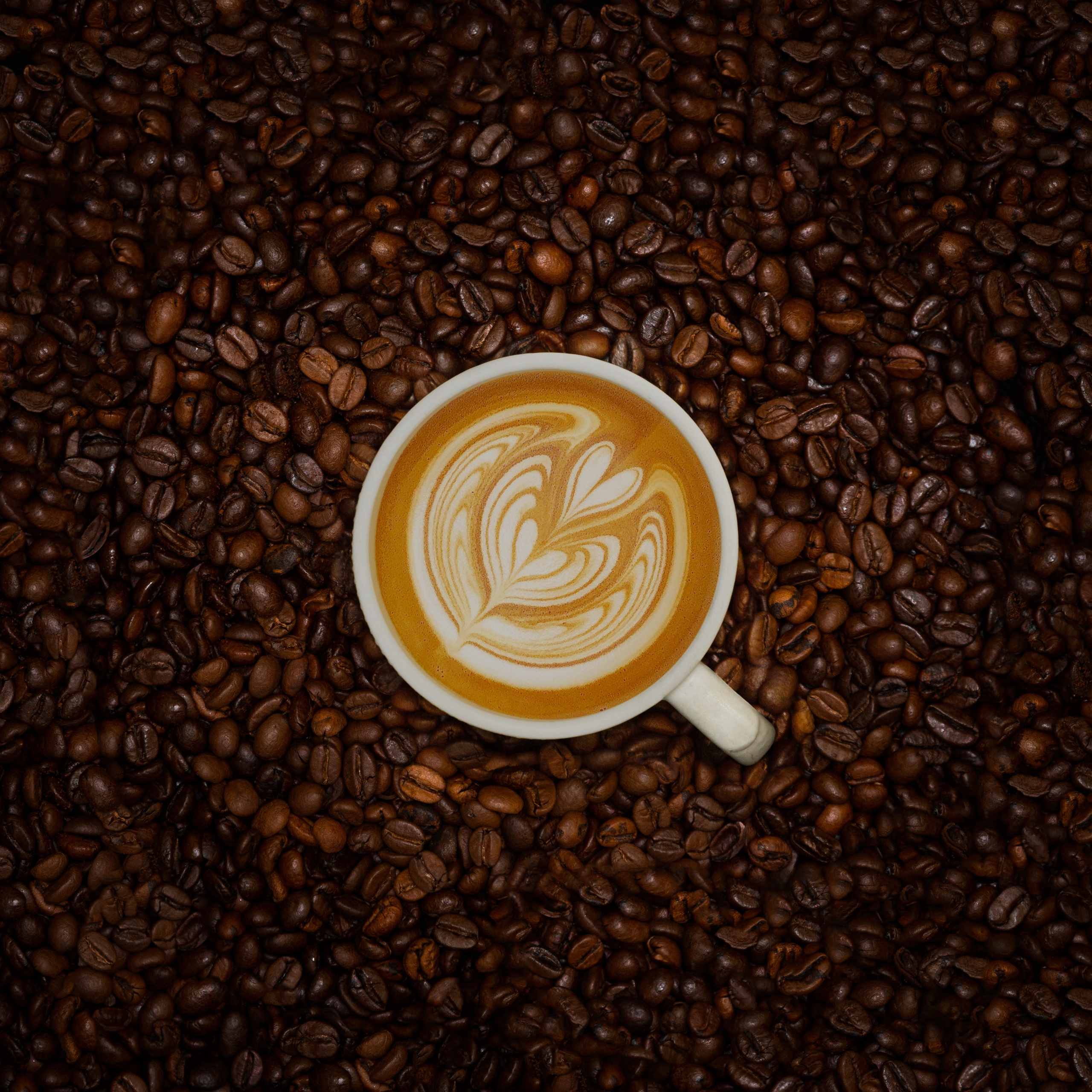 Профессиональный фотограф Иван Фролов