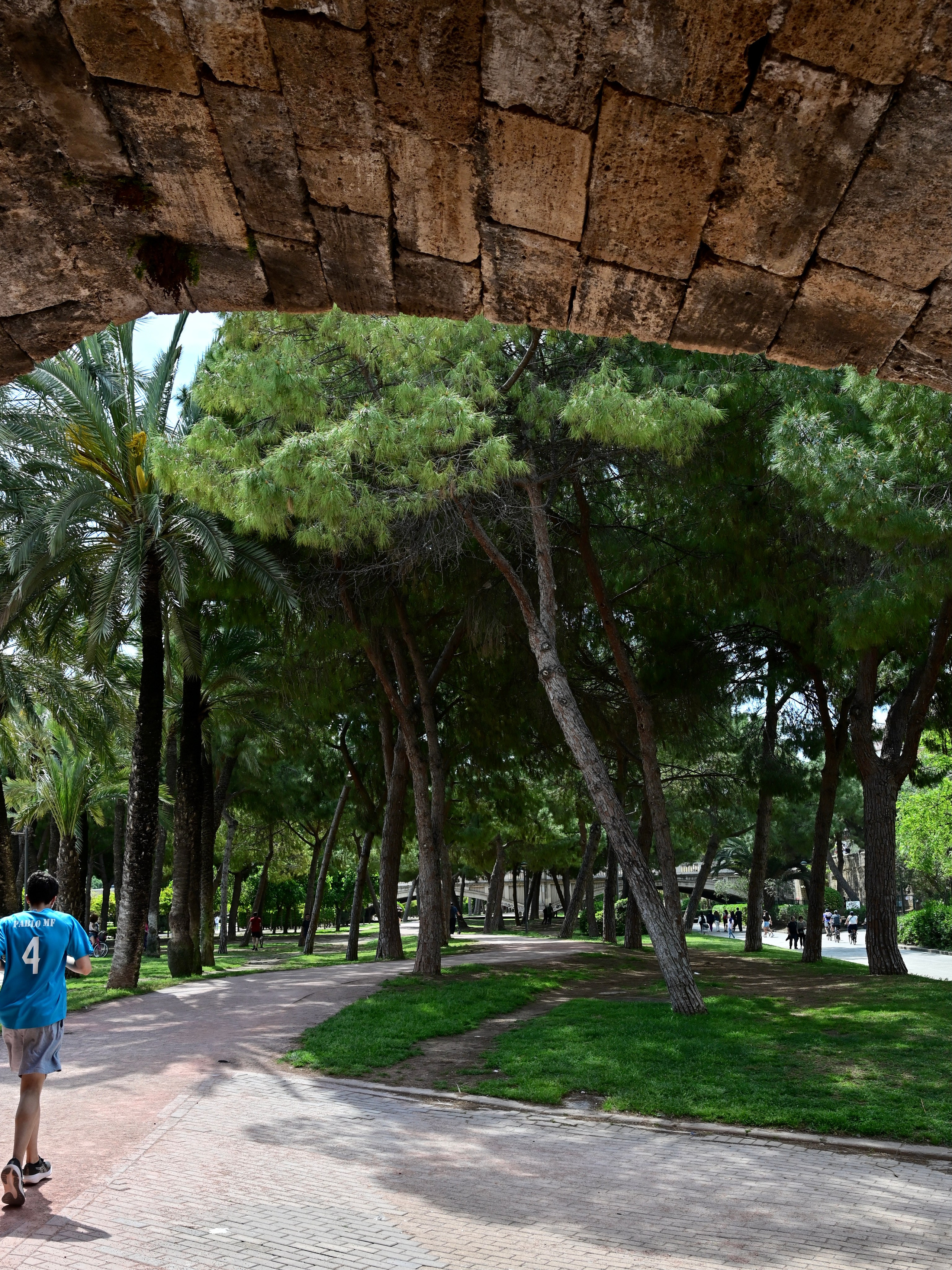 Парки Валенсии. Гид и фотограф в Валенсии Новиков Михаил