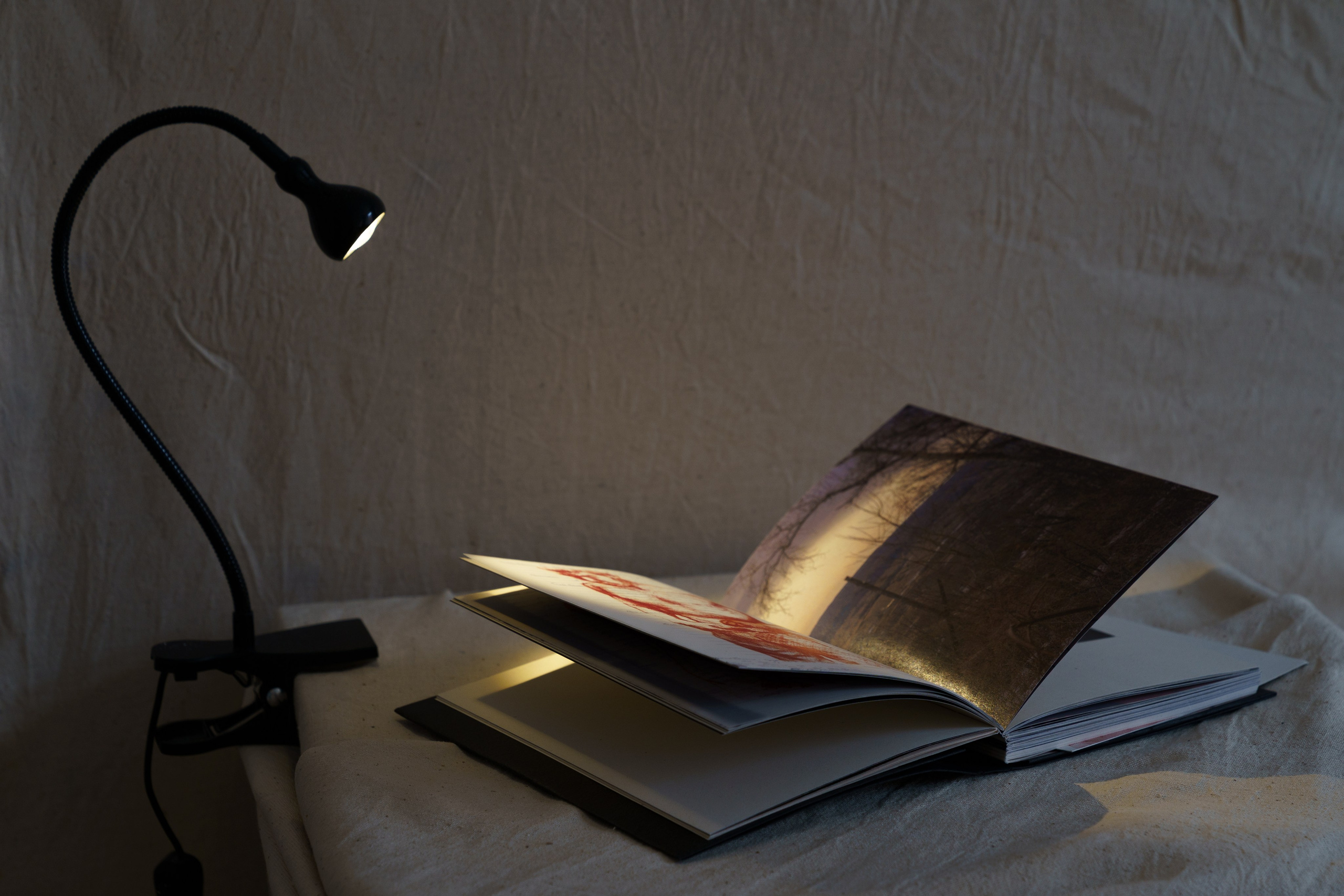 Выставка «Маленький человек» в Нижнем Новгороде. Elena Anosova is an award-winning visual artist