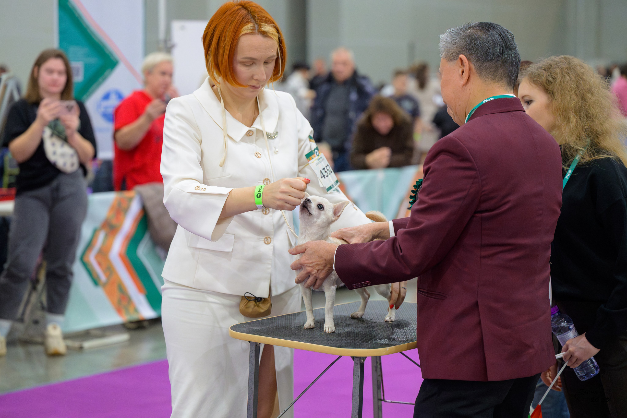 15-16.11.2025 ЕВРАЗИЯ г. Москва. Фотограф анималист Елена Галдина г. Красноярск