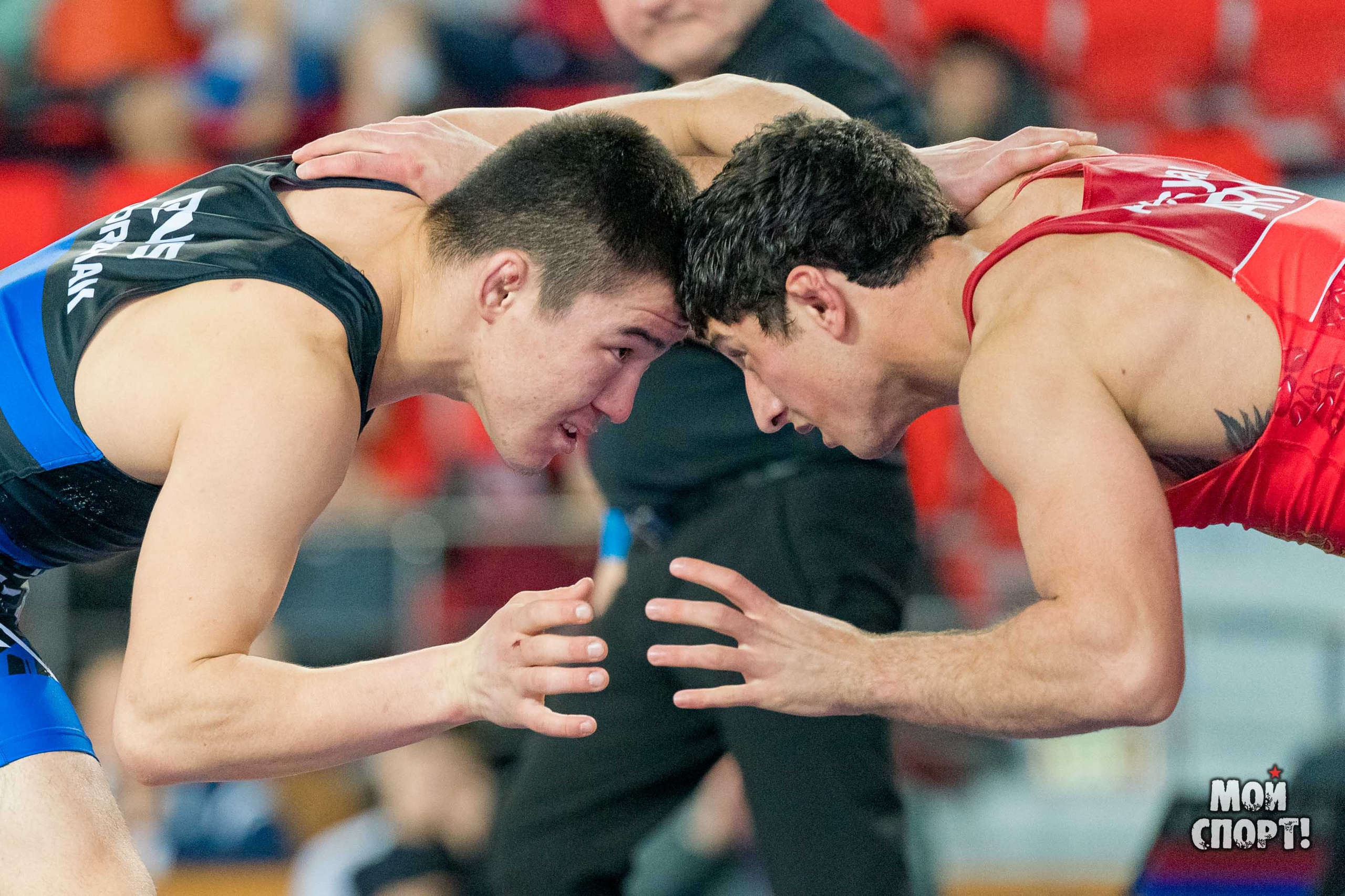 X международные соревнования по спортивной борьбе памяти Р. Дмитриева. Студия «Мой Спорт!» — все о спорте в Якутии