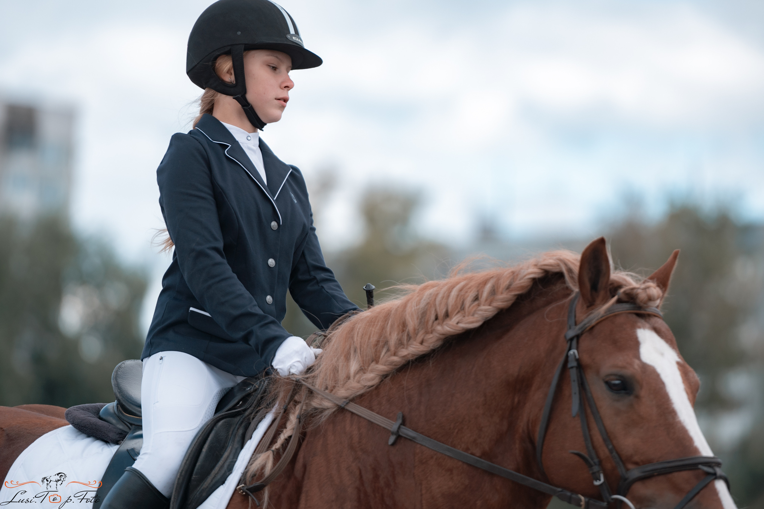 Выездка. Чемпионат и Первенство Тверской области. Конный и фотограф с животными в Твери Топталова Люся
