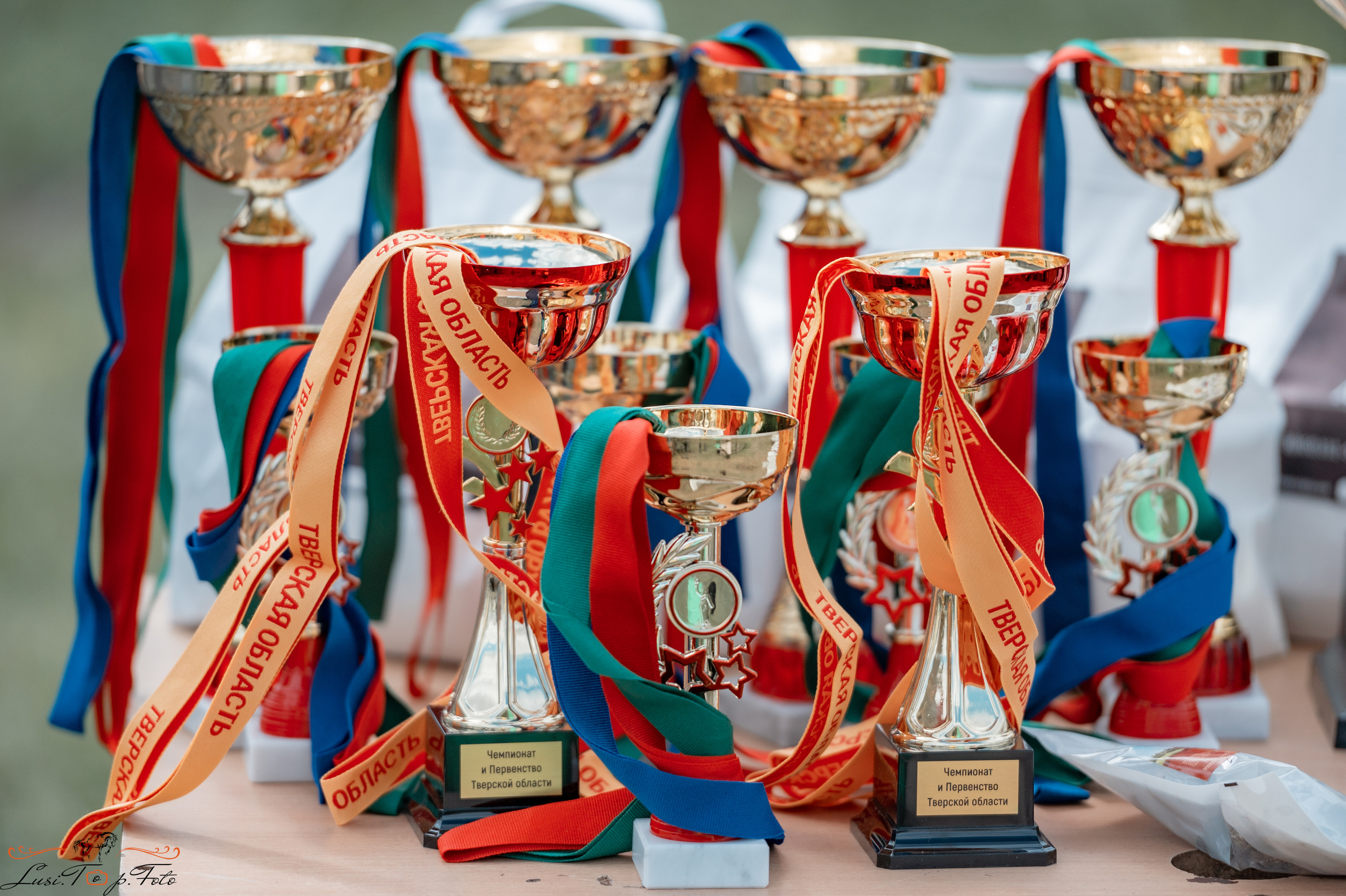 Конкур. Чемпионат и Первенство Тверской области. Конный и фотограф с животными в Твери Топталова Люся