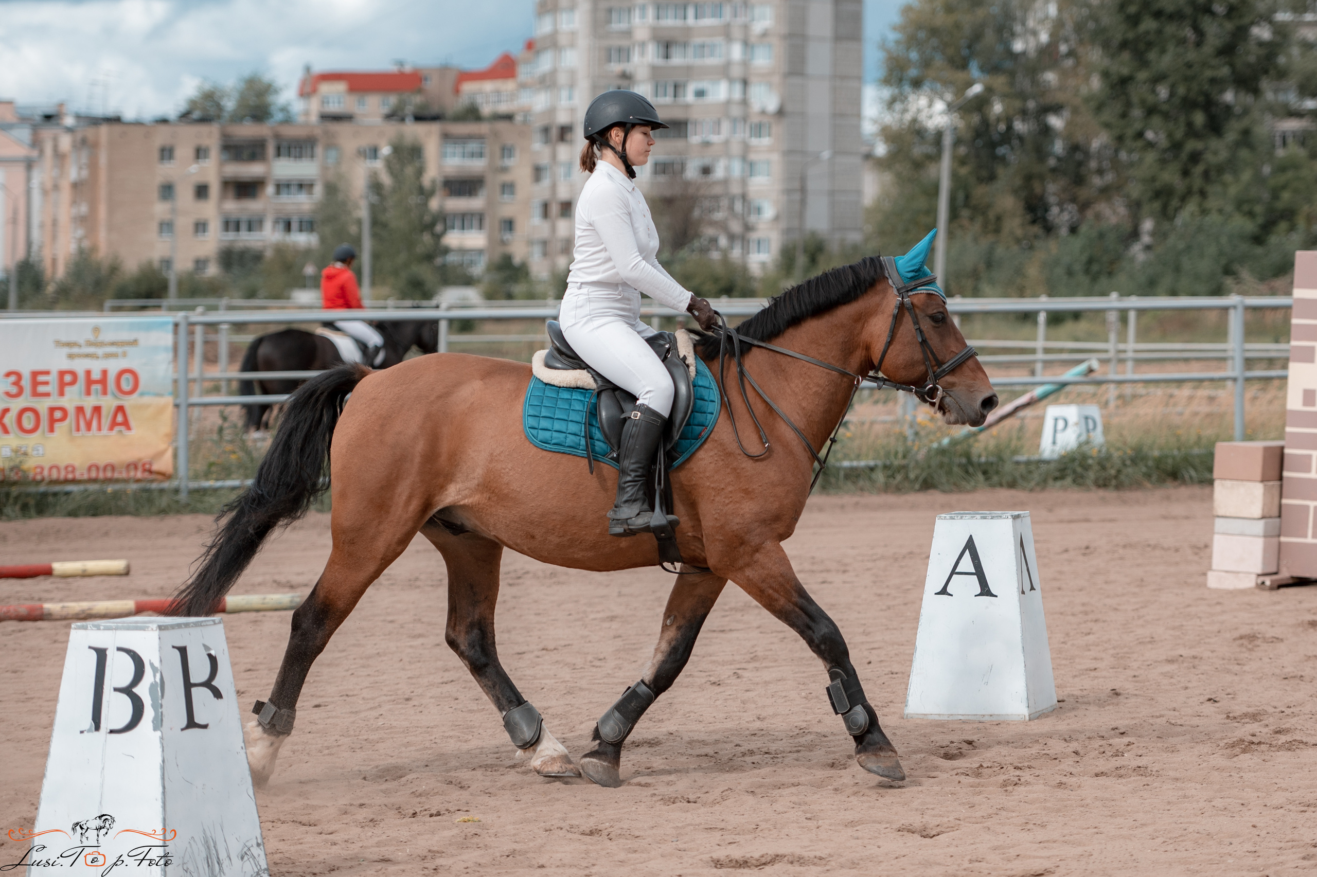 Конкур. Чемпионат и Первенство Тверской области. Конный и фотограф с животными в Твери Топталова Люся