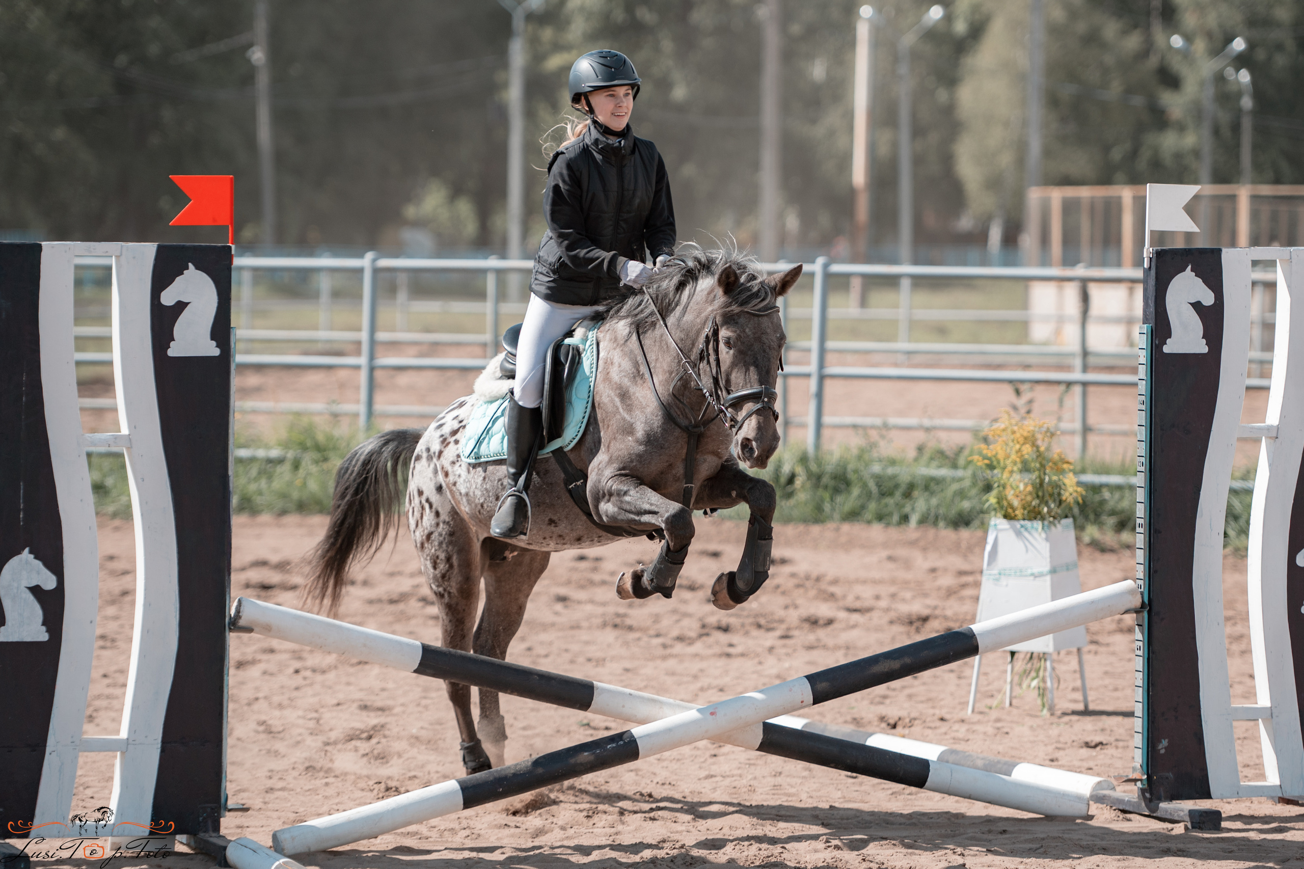 Конкур. Чемпионат и Первенство Тверской области. Конный и фотограф с животными в Твери Топталова Люся