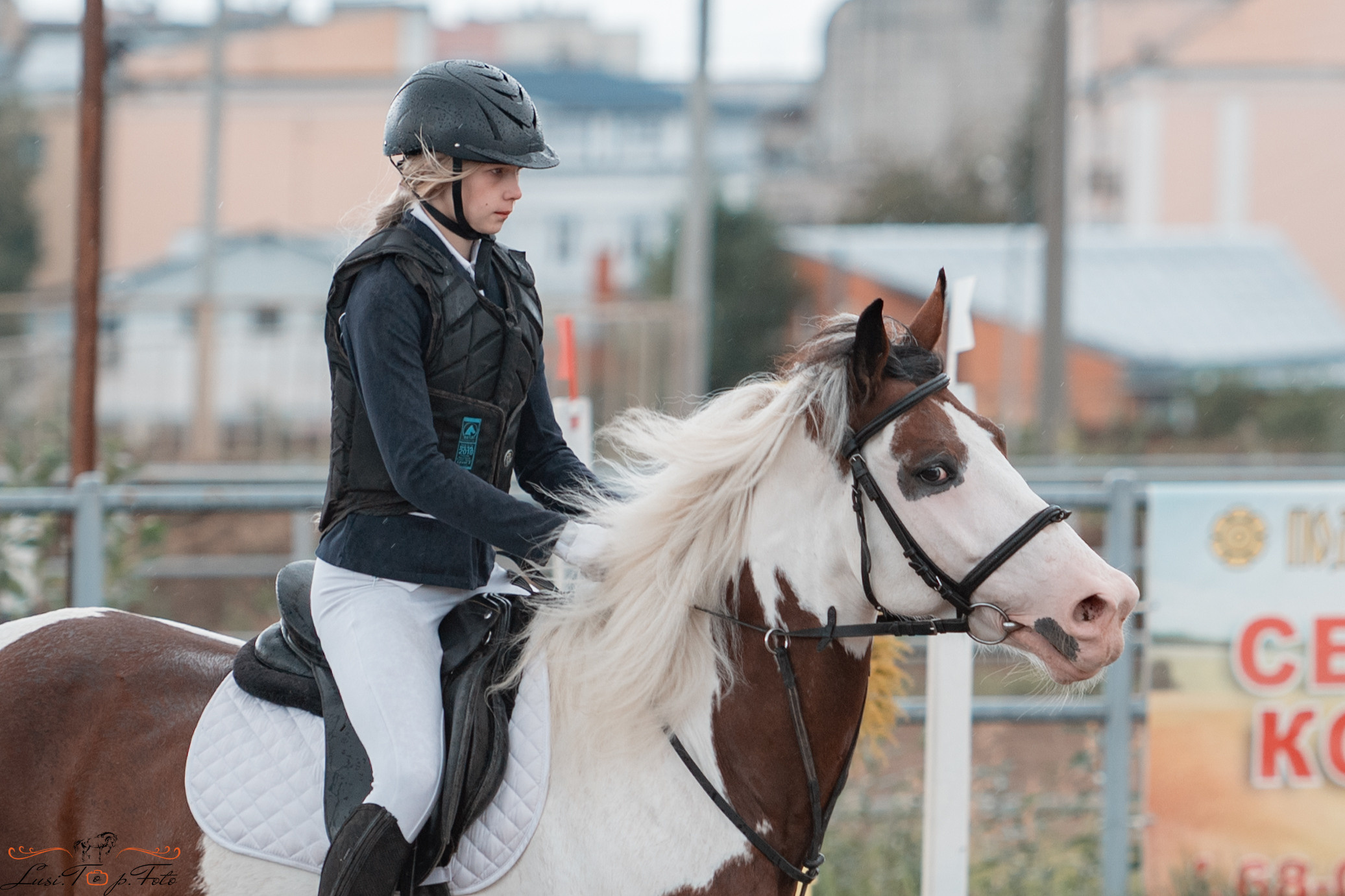 Конкур. Чемпионат и Первенство Тверской области. Конный и фотограф с животными в Твери Топталова Люся