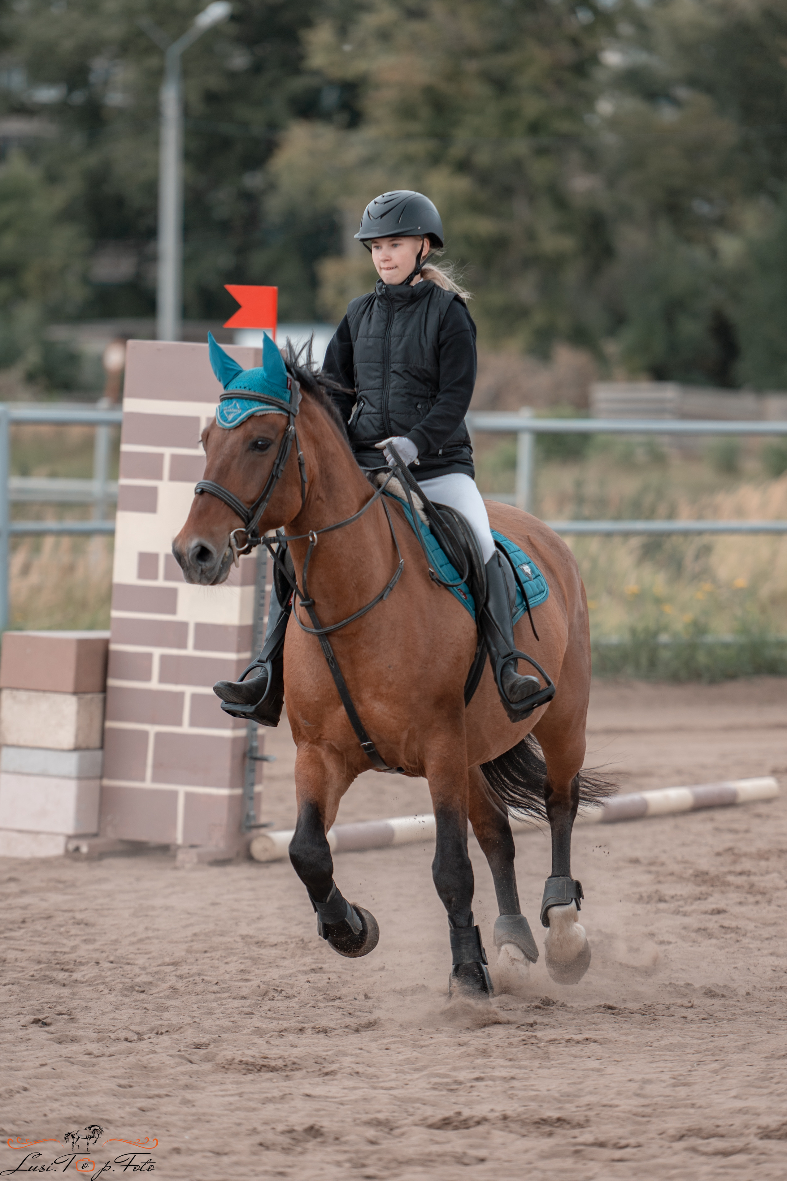 Конкур. Чемпионат и Первенство Тверской области. Конный и фотограф с животными в Твери Топталова Люся