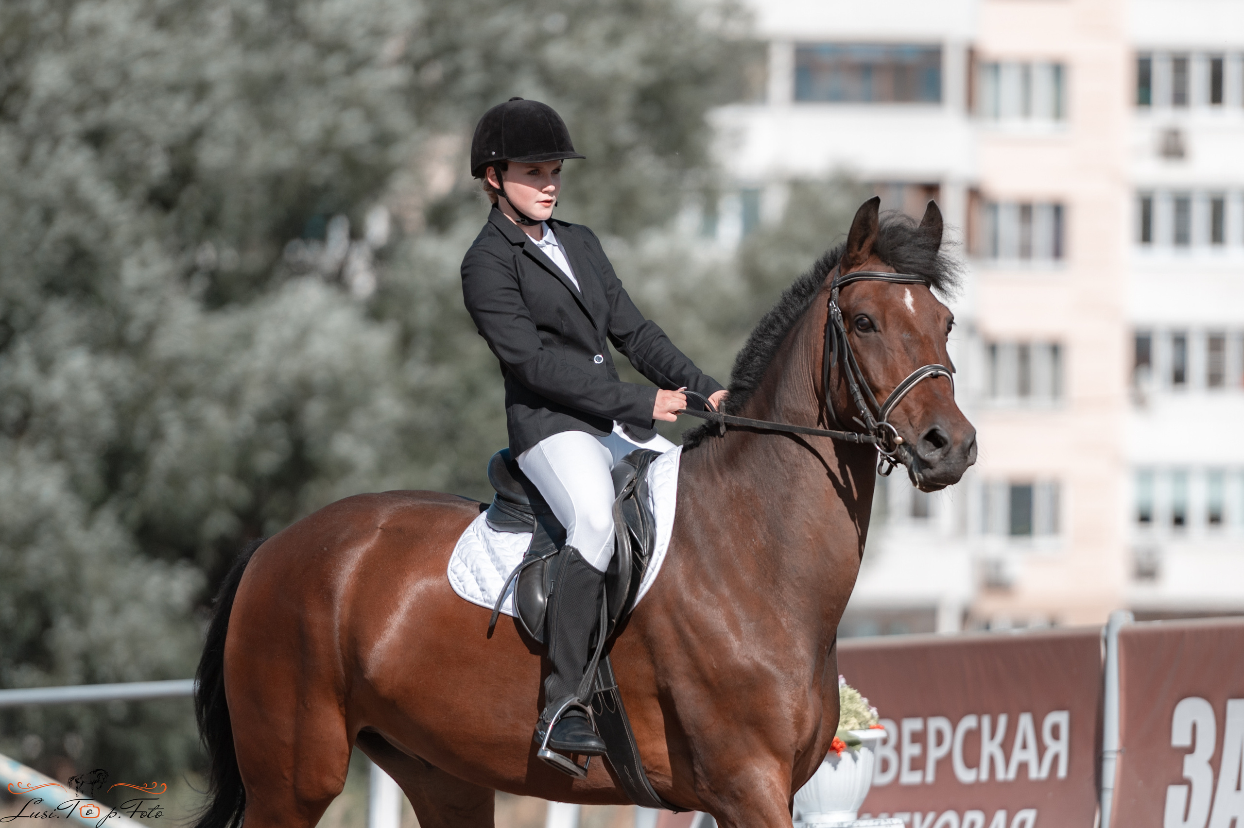 Выездка. Чемпионат и Первенство Тверской области. Конный и фотограф с животными в Твери Топталова Люся