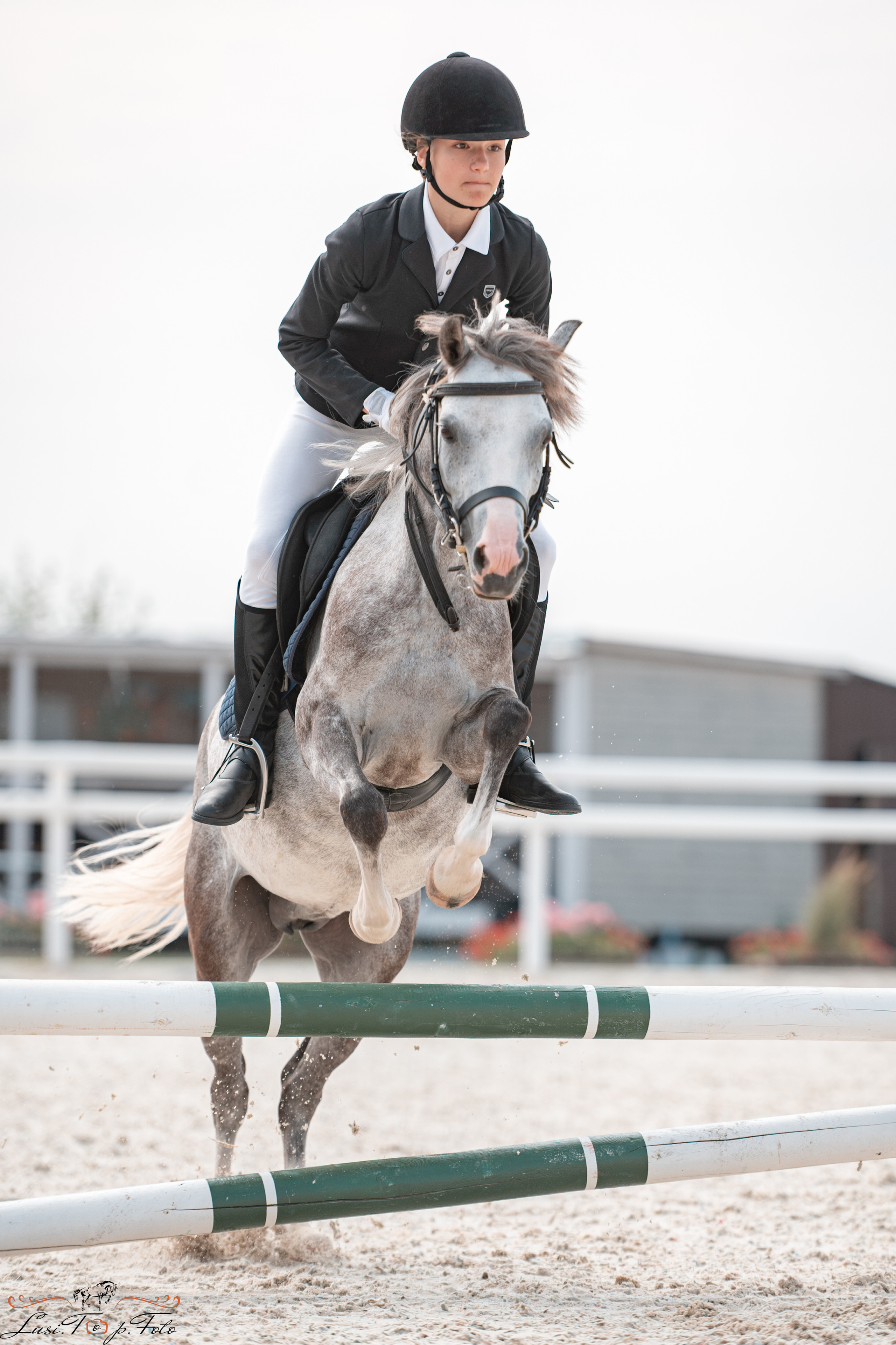 «Областные соревнования на призы Конного Клуба EQUIPARK» 28 августа — КОНКУР. Конный и фотограф с животными в Твери Топталова Люся