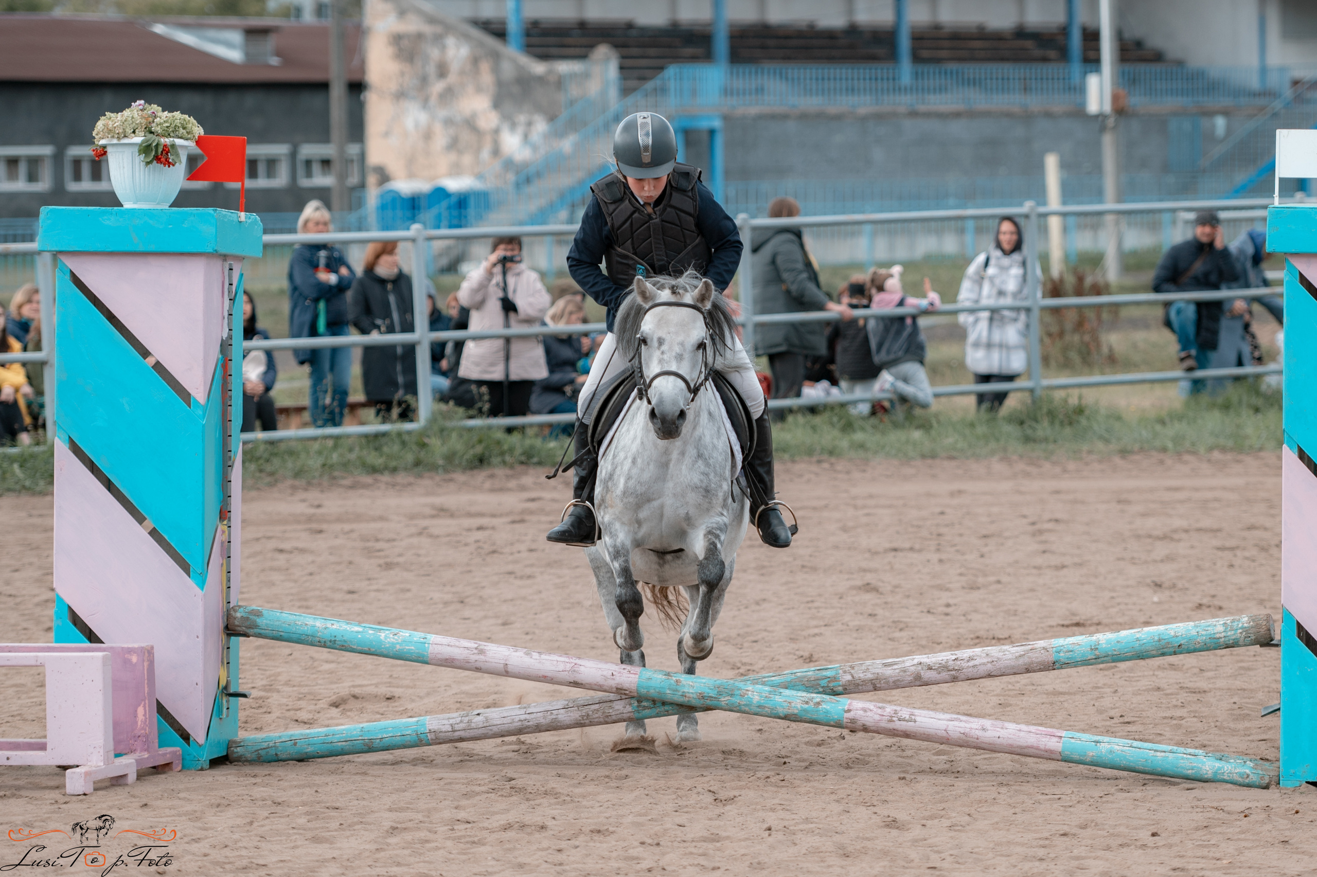 Конкур. Чемпионат и Первенство Тверской области. Конный и фотограф с животными в Твери Топталова Люся