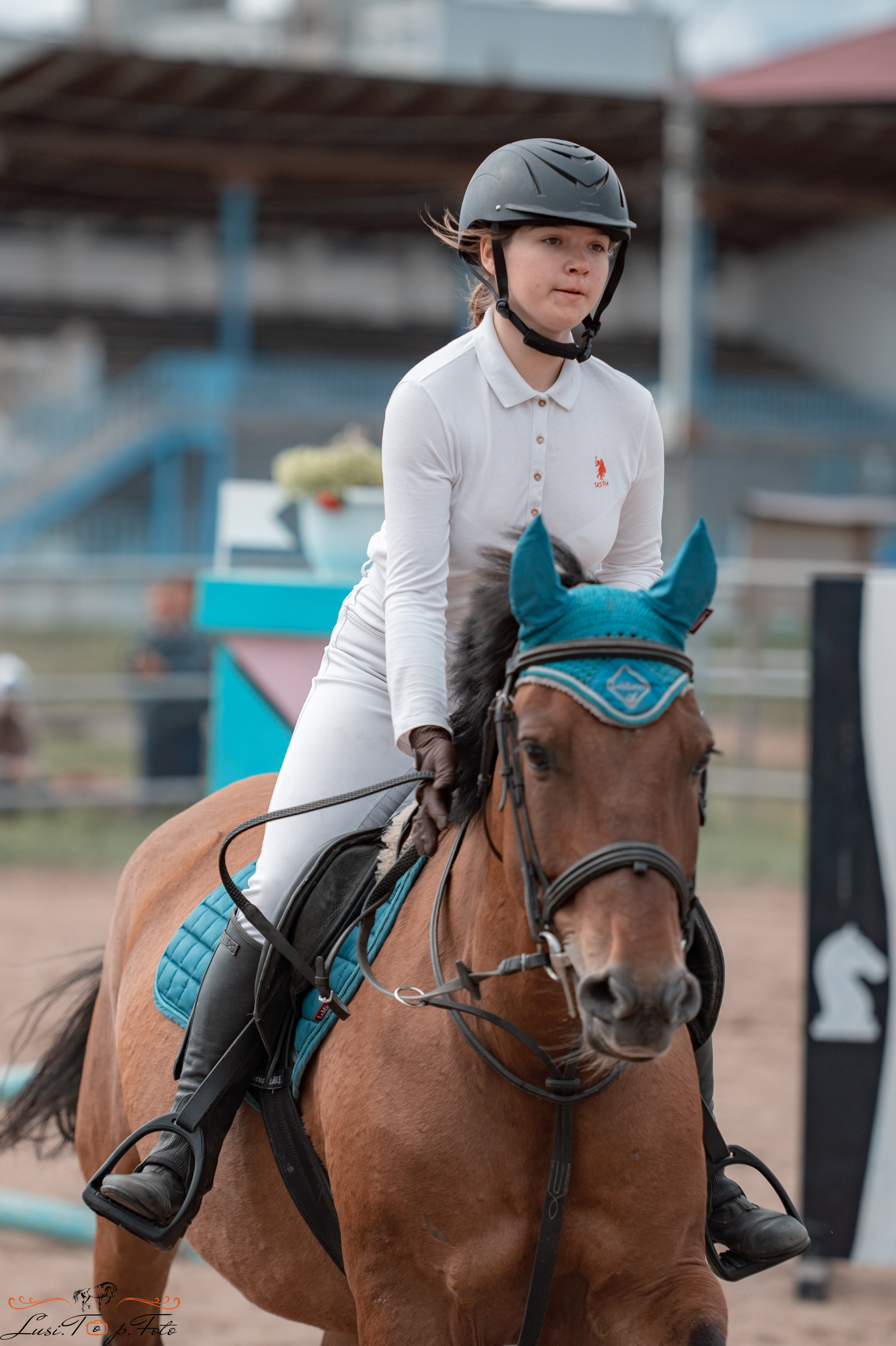 Конкур. Чемпионат и Первенство Тверской области. Конный и фотограф с животными в Твери Топталова Люся