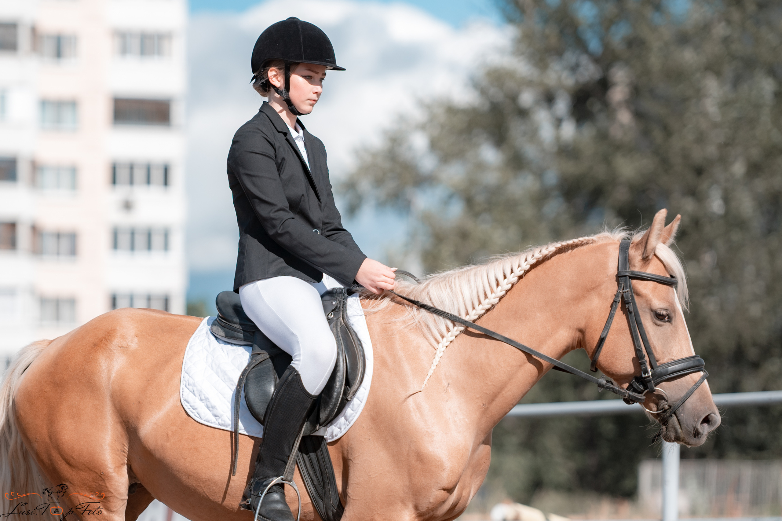 Выездка. Чемпионат и Первенство Тверской области. Конный и фотограф с животными в Твери Топталова Люся