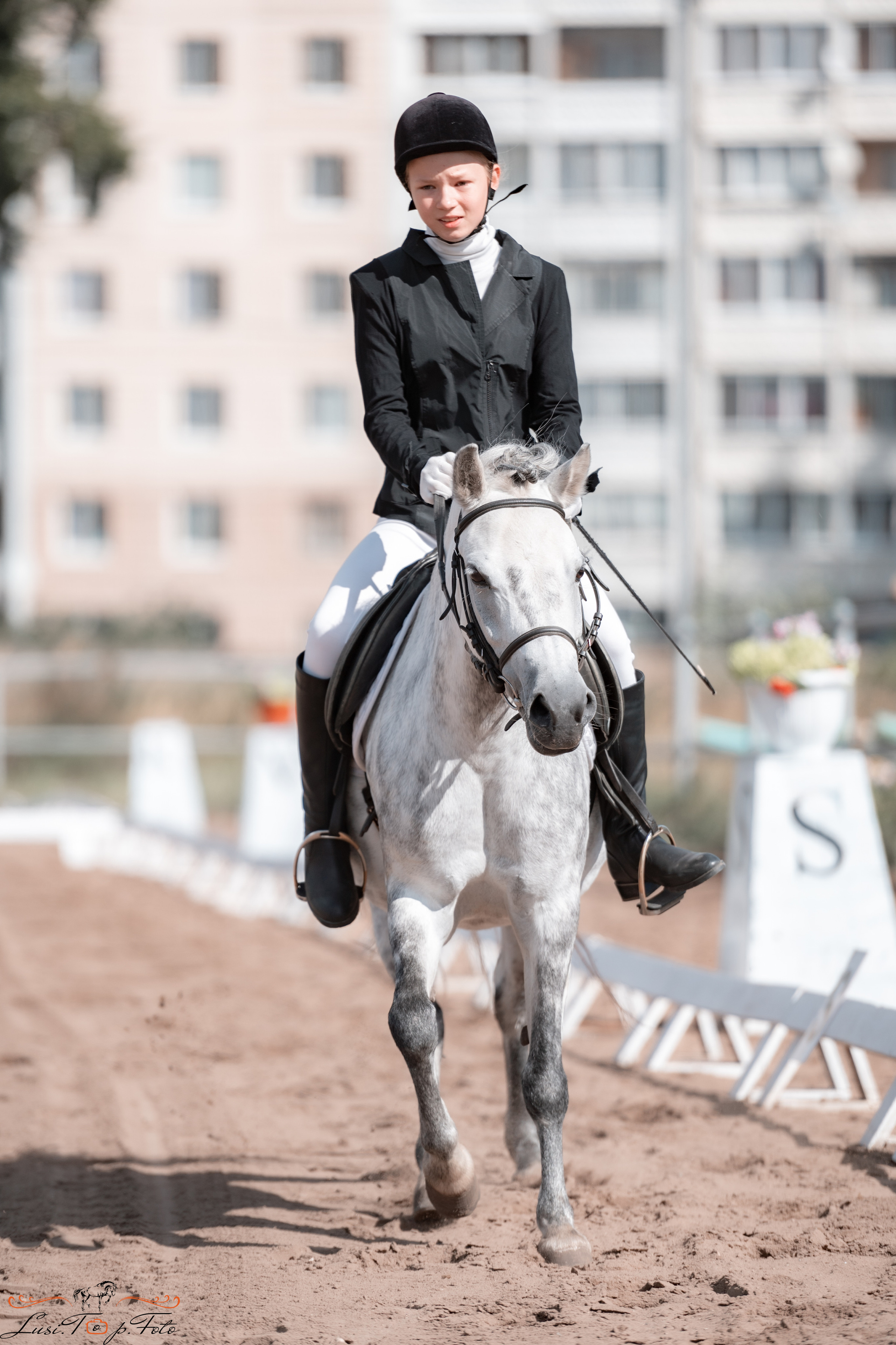 Выездка. Чемпионат и Первенство Тверской области. Конный и фотограф с животными в Твери Топталова Люся