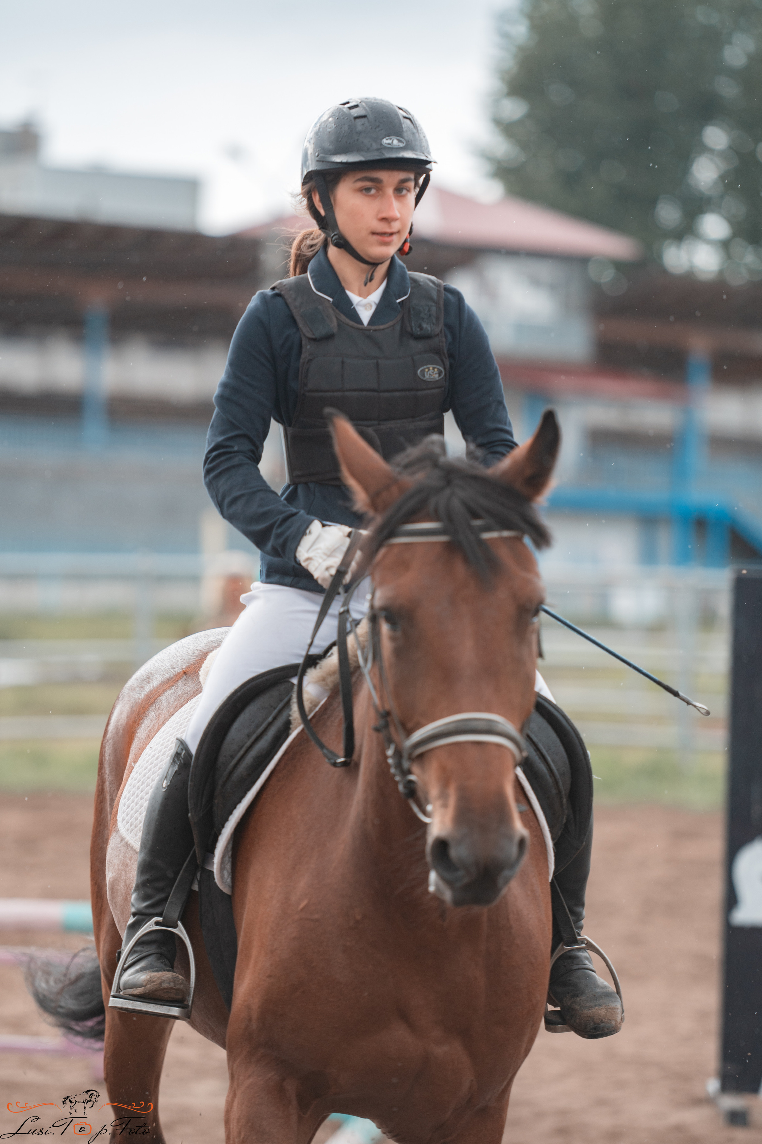 Конкур. Чемпионат и Первенство Тверской области. Конный и фотограф с животными в Твери Топталова Люся